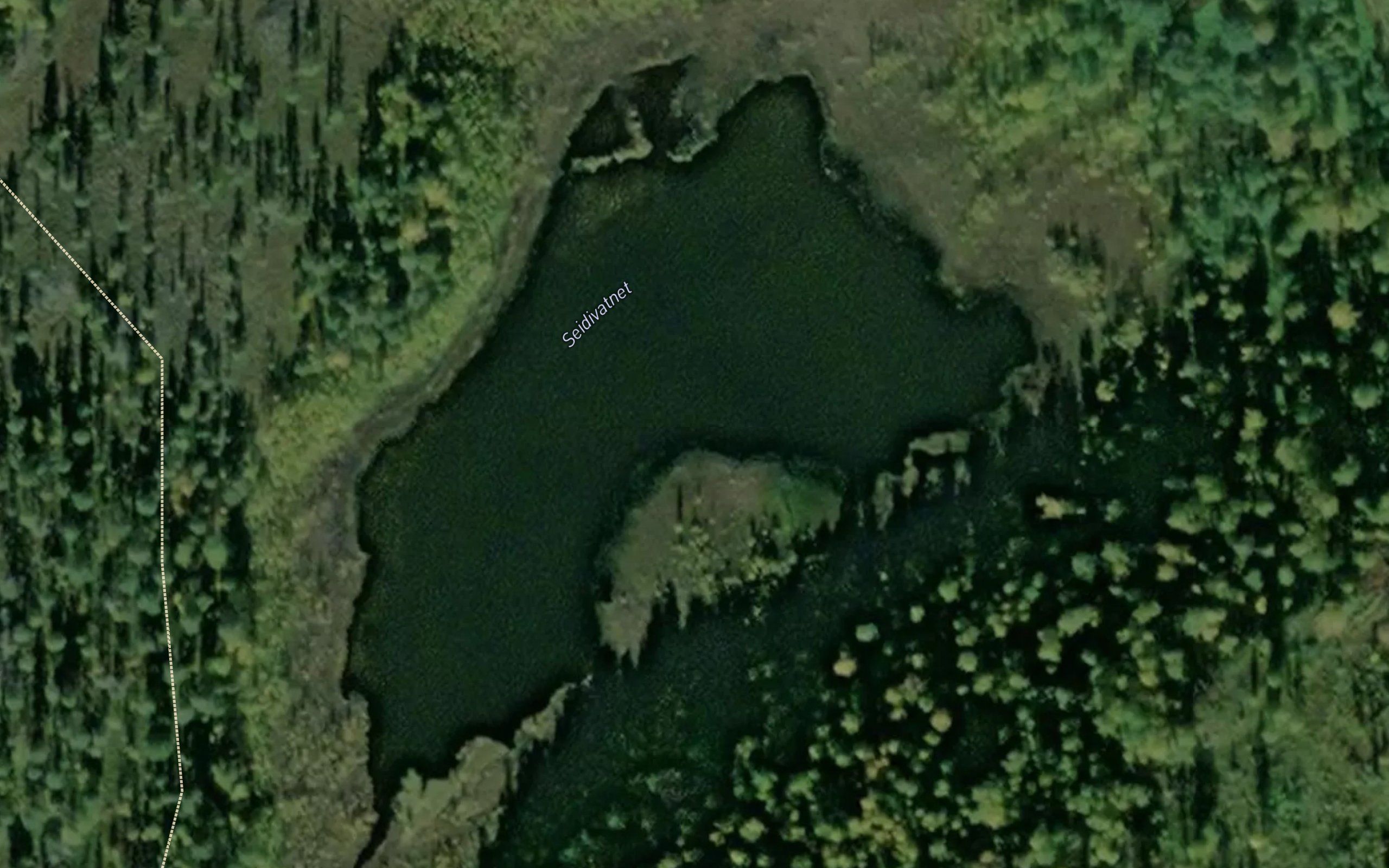 Seidivatnet