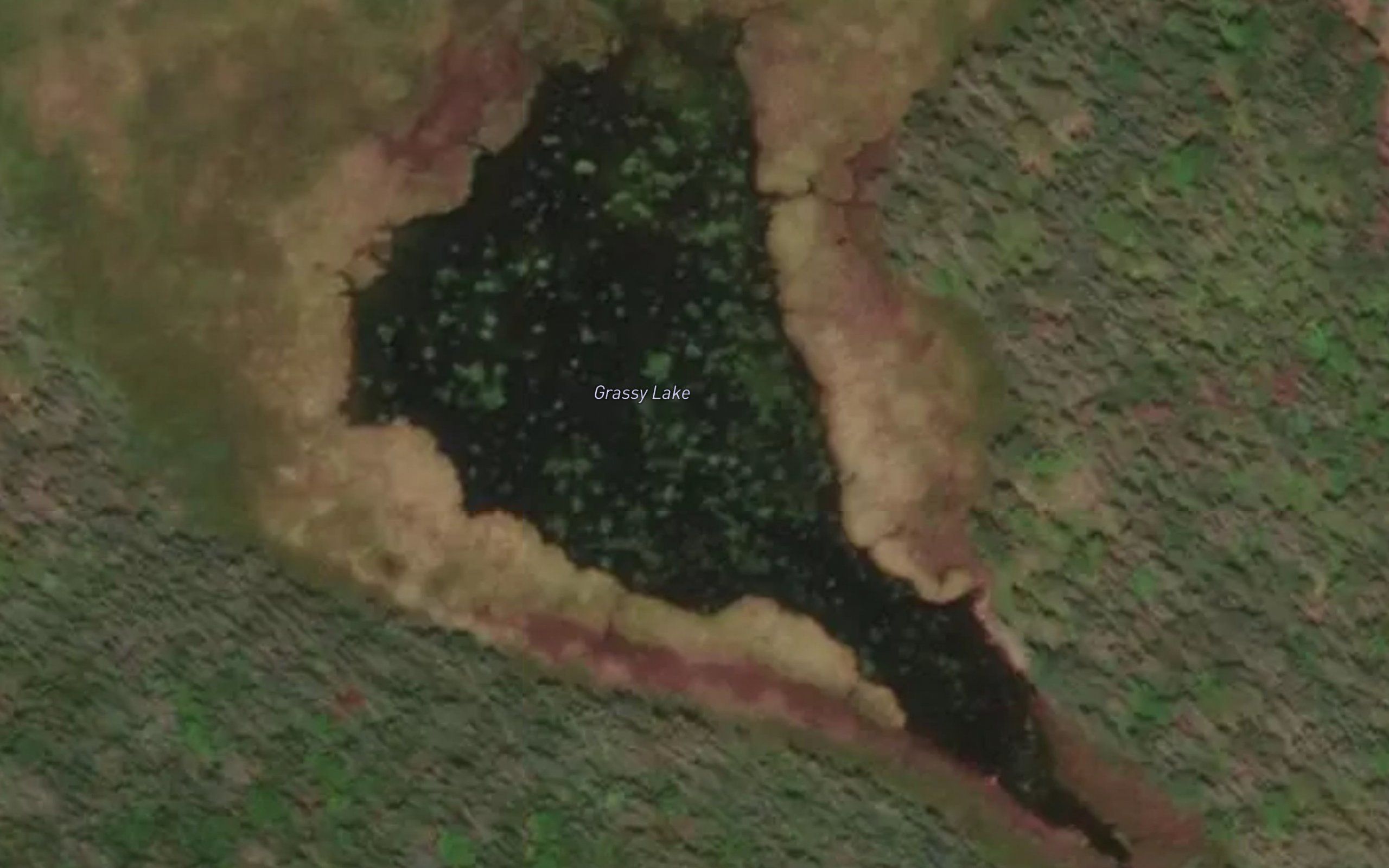 Grassy Lake