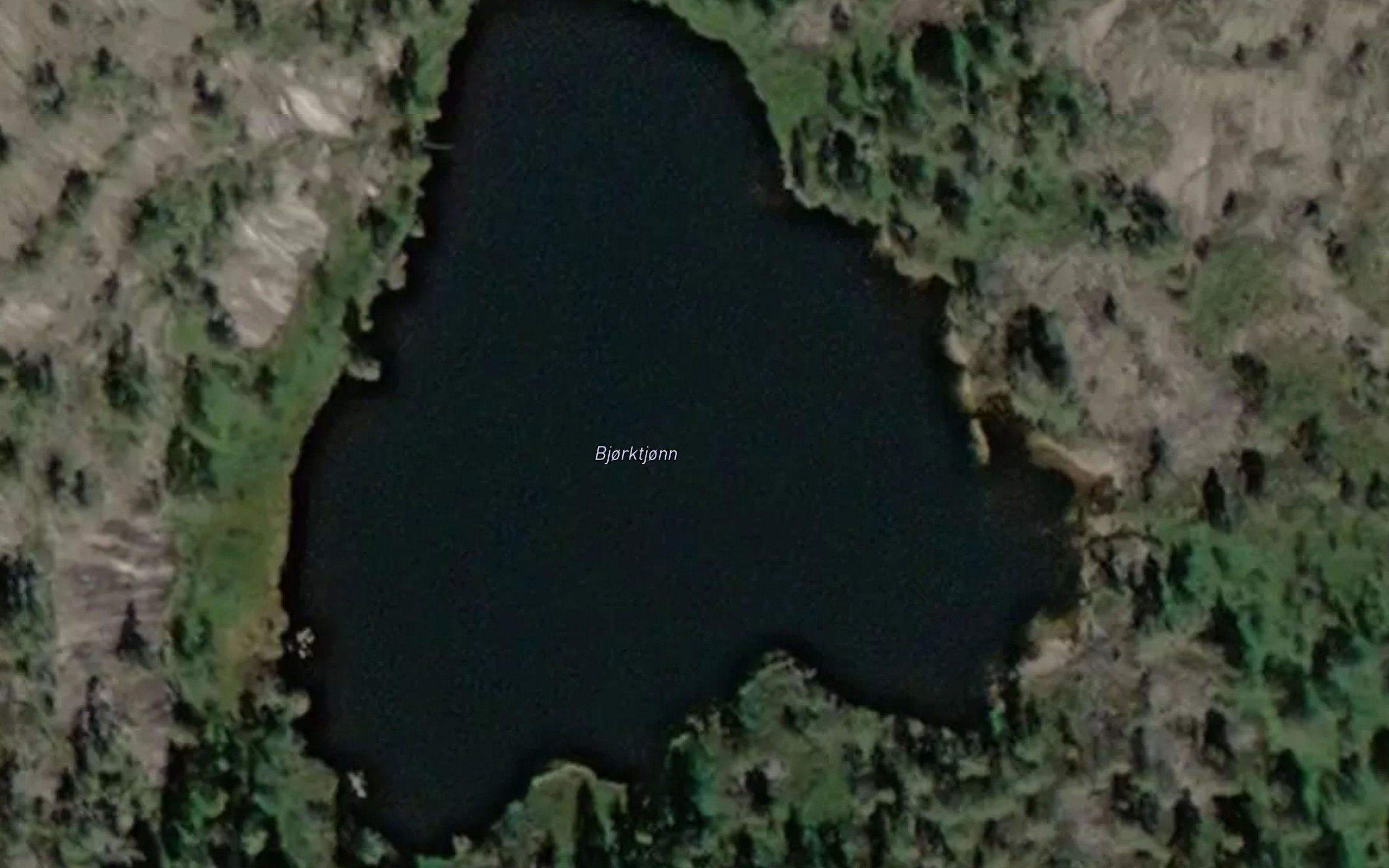 Bjorketjorn