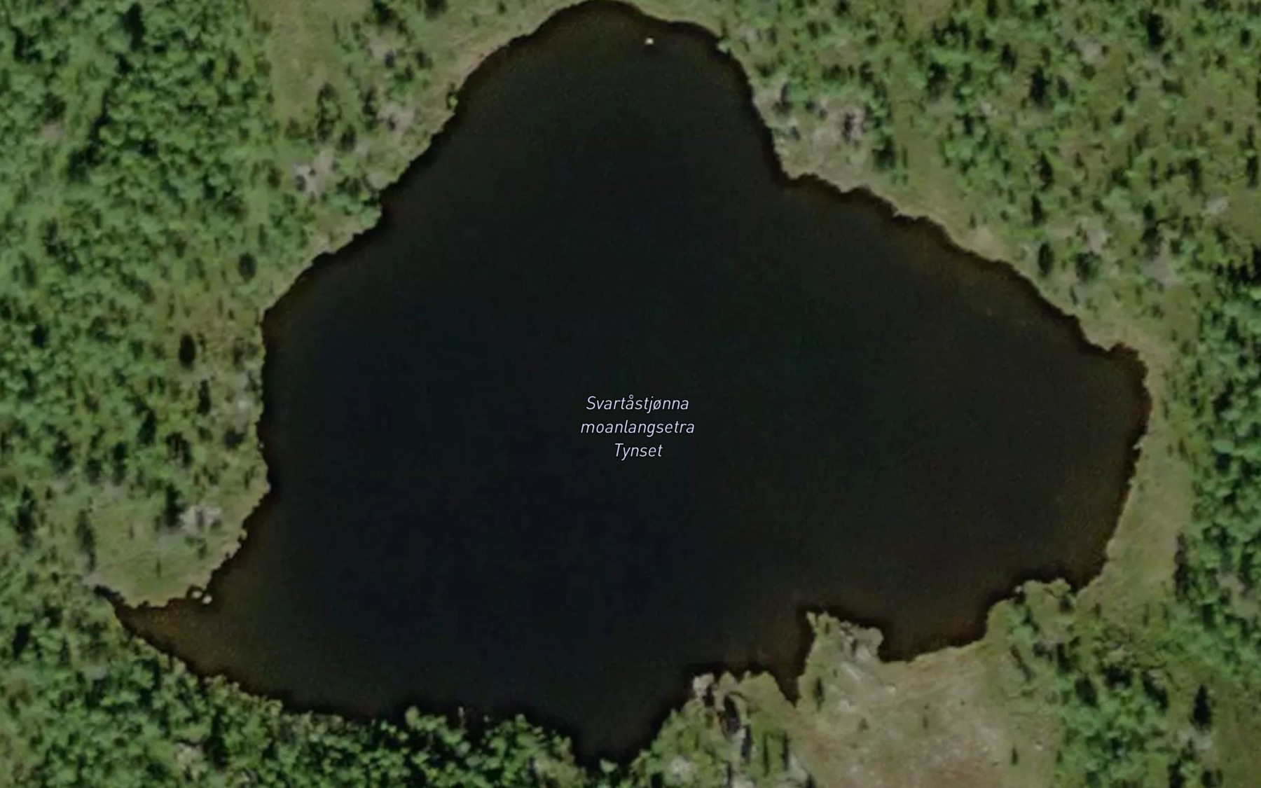 Satellite map of the Svartastjorna