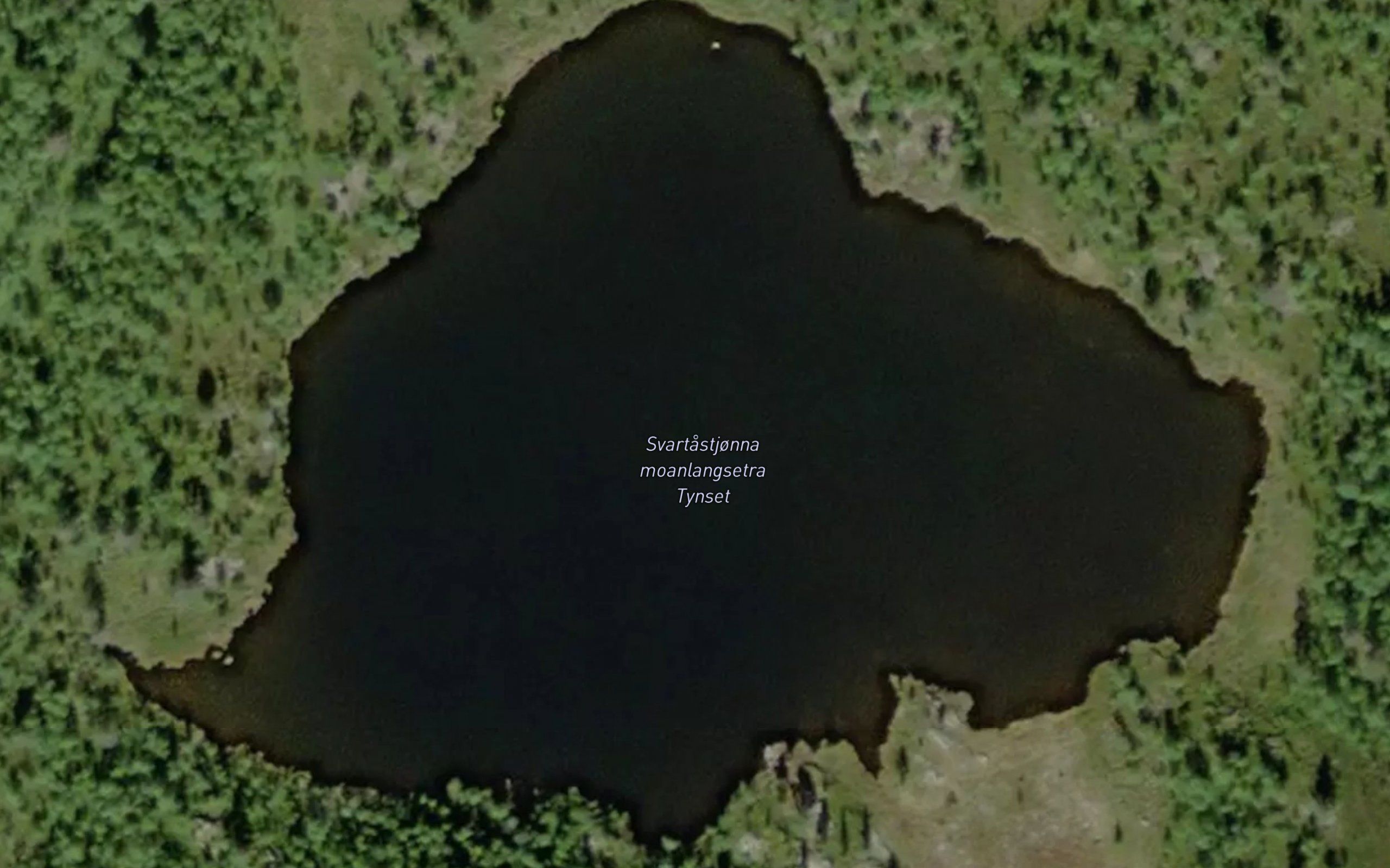 Svartastjorna