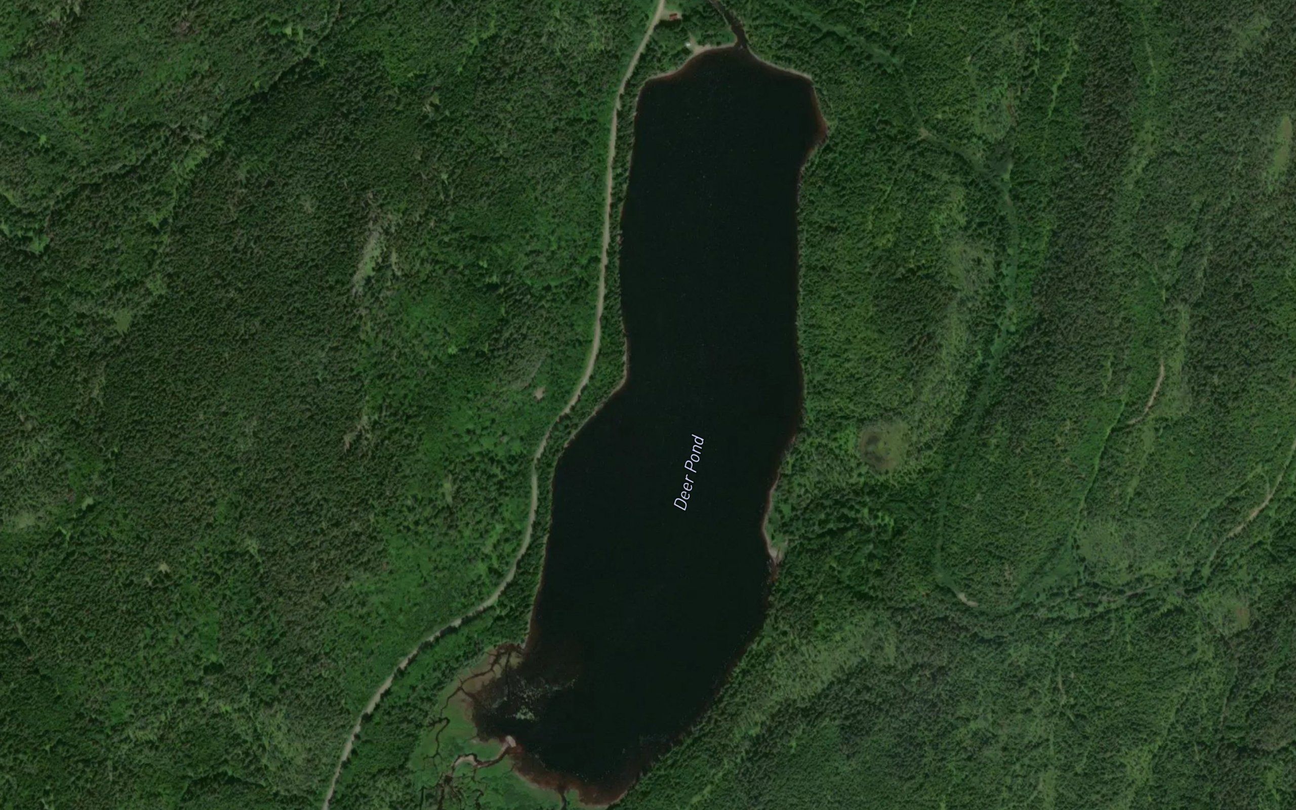 Deer Pond