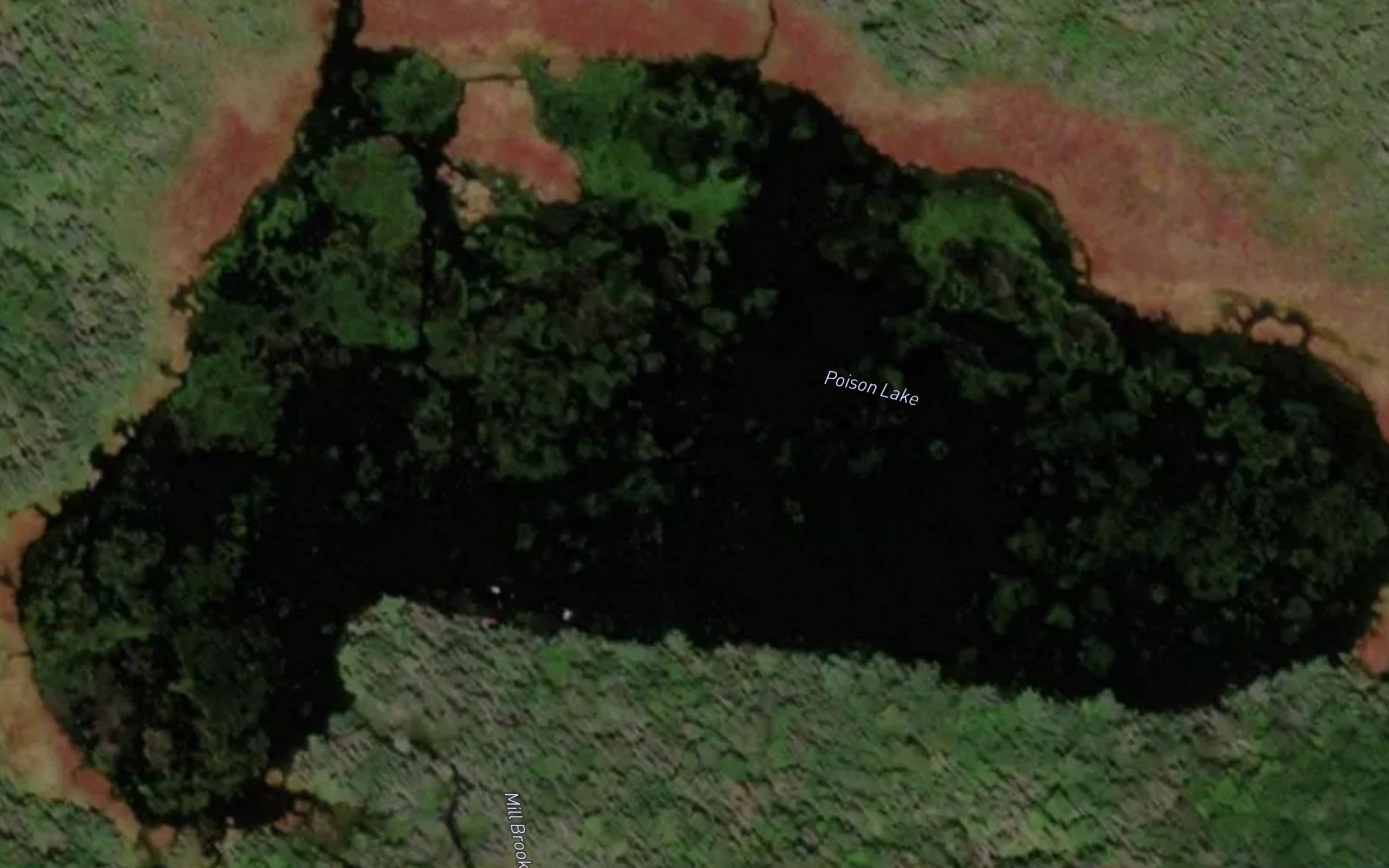 Poison Lake