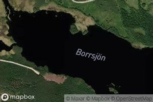 Borrsjon
