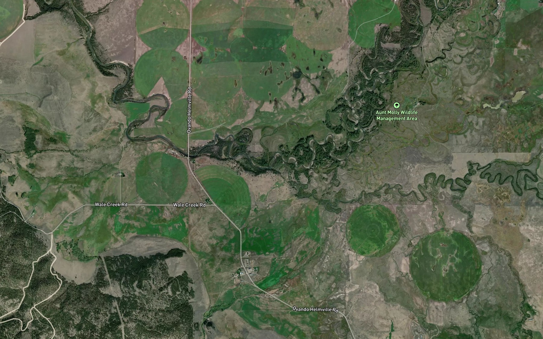 Satellite map of the Nevada Creek