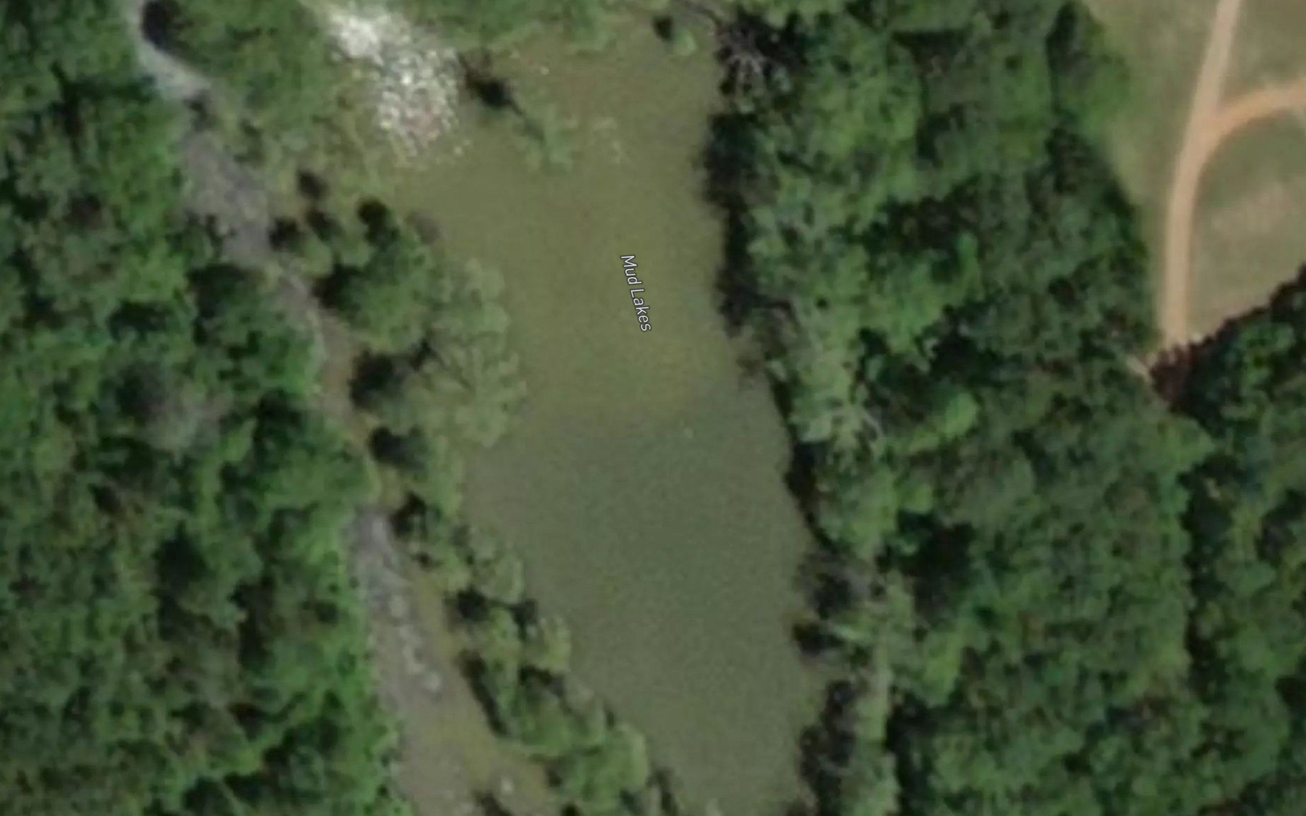 Mud Lakes