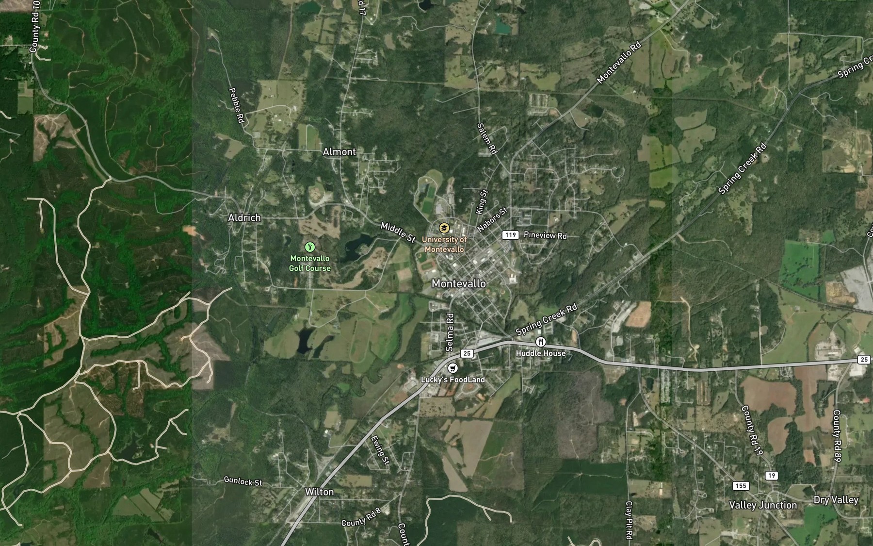 Satellite map of the Shoal Creek Spring