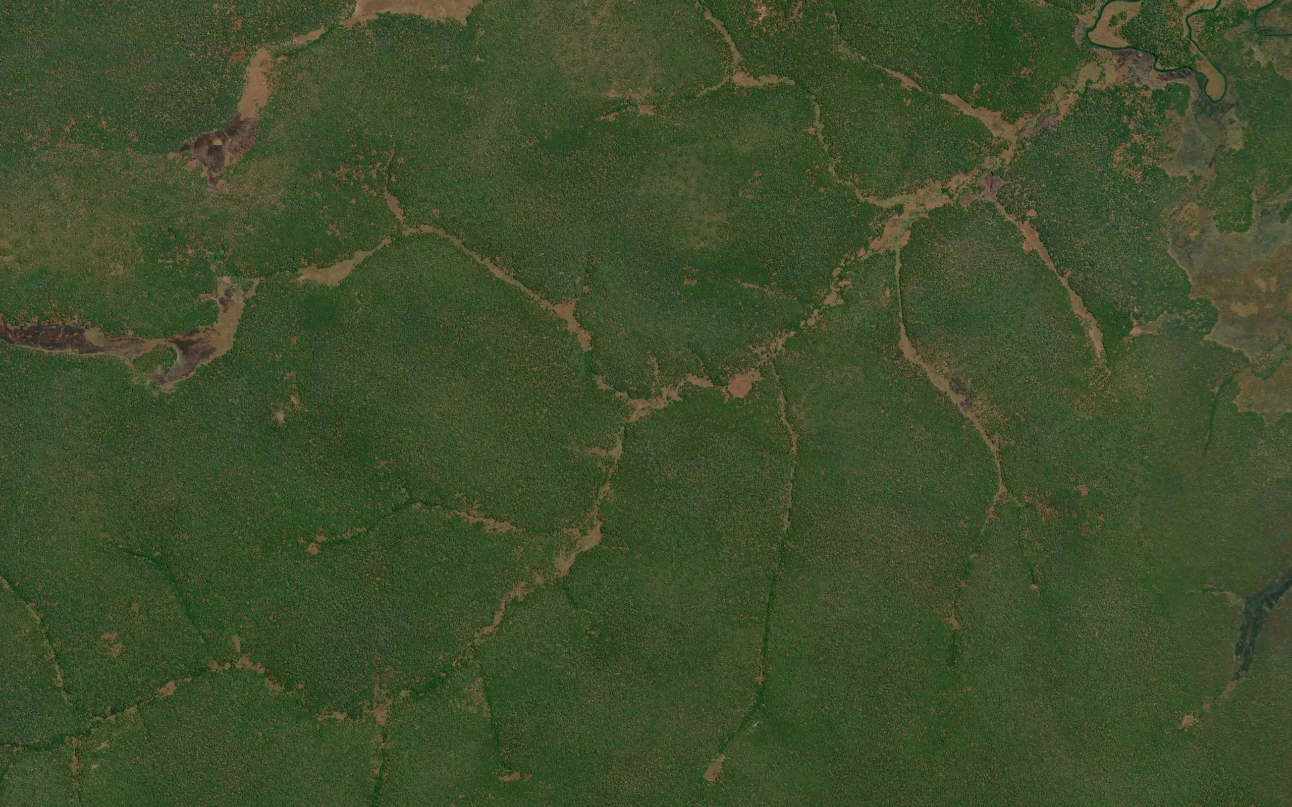Katokamema