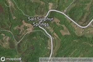 Salt Sulphur Spring