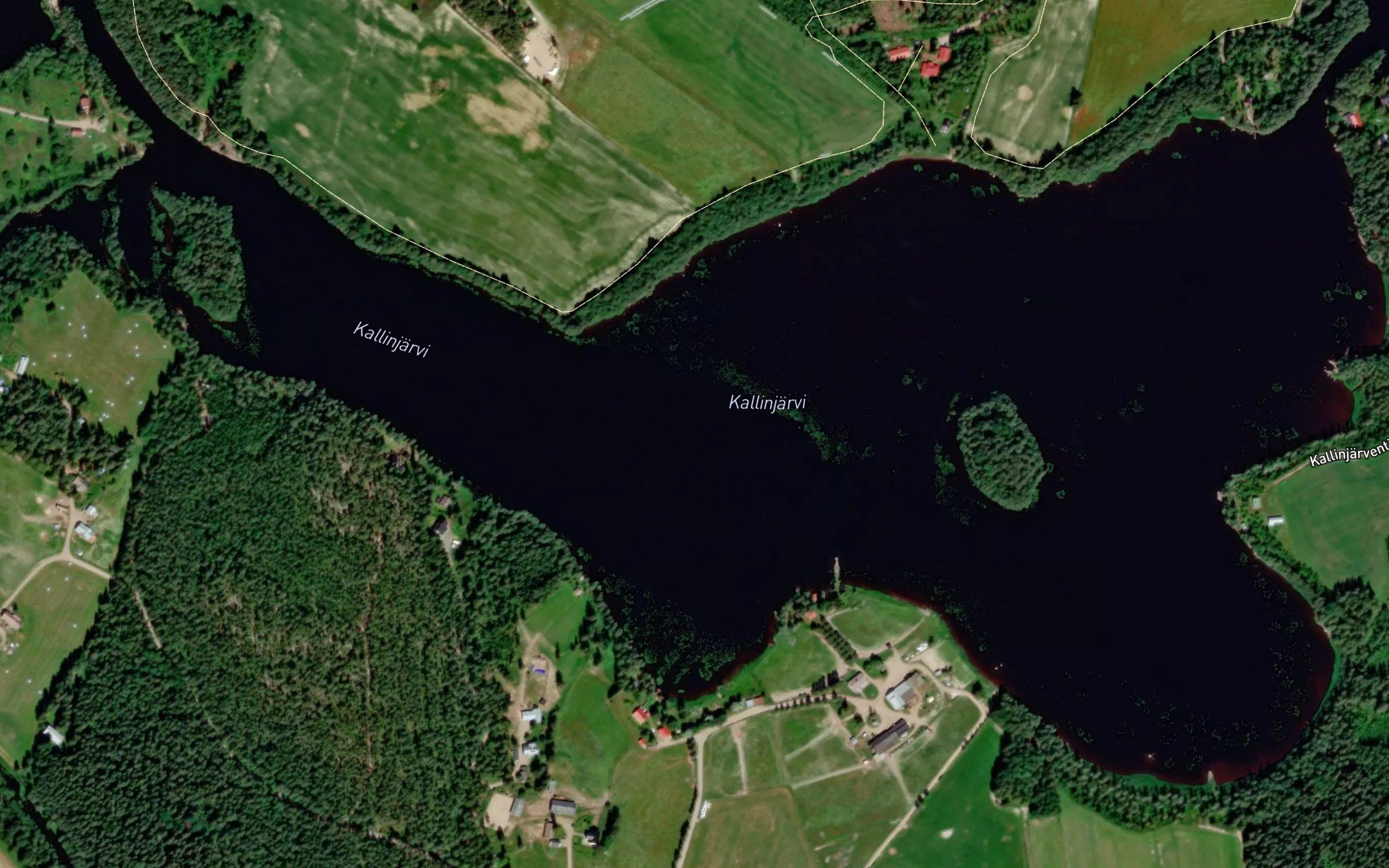 Kallinjarvi