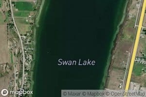 Swan Lake