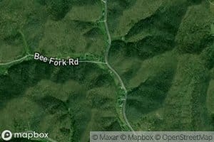 Bee Fork