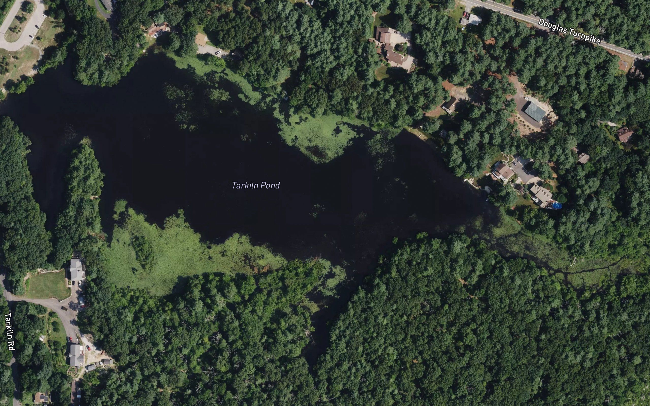 Tarkiln Pond