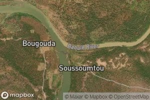 Baoule