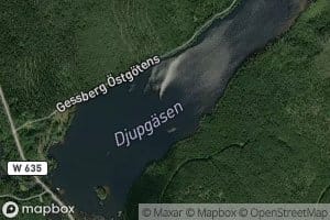 Djupgaesen