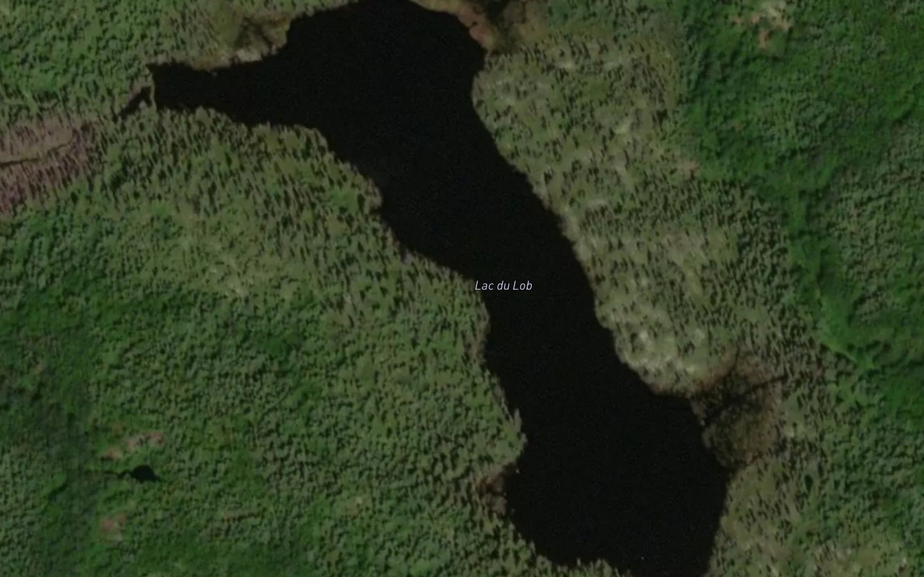 Satellite map of the Lac du Lob