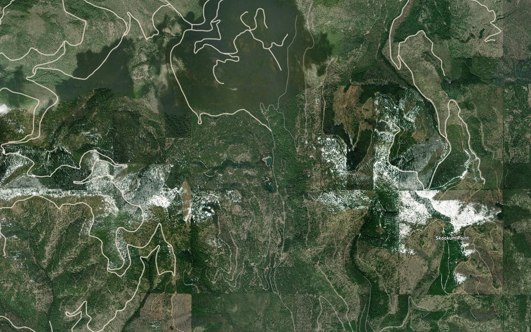 Satellite map of the Twin Lakes