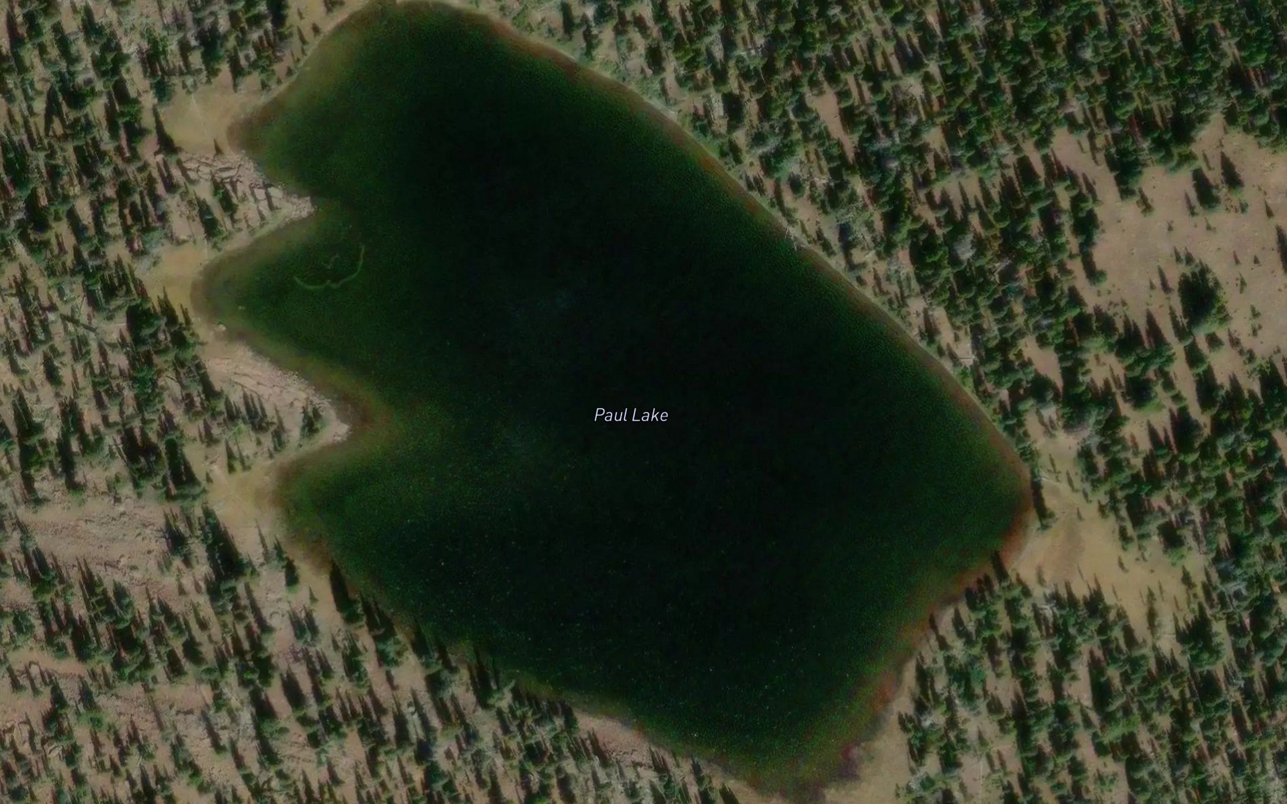 Paul Lake