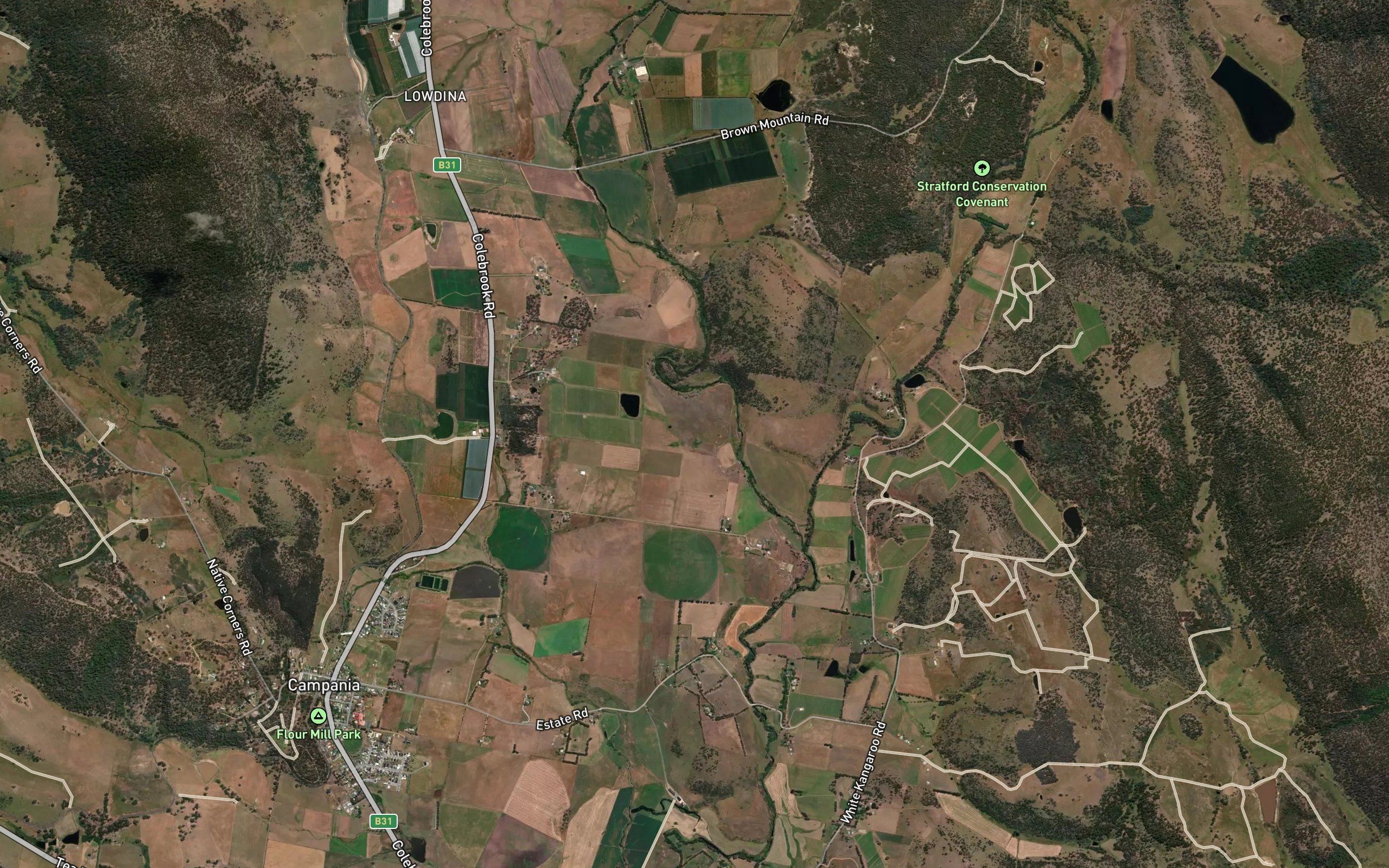 White Kangaroo Rivulet