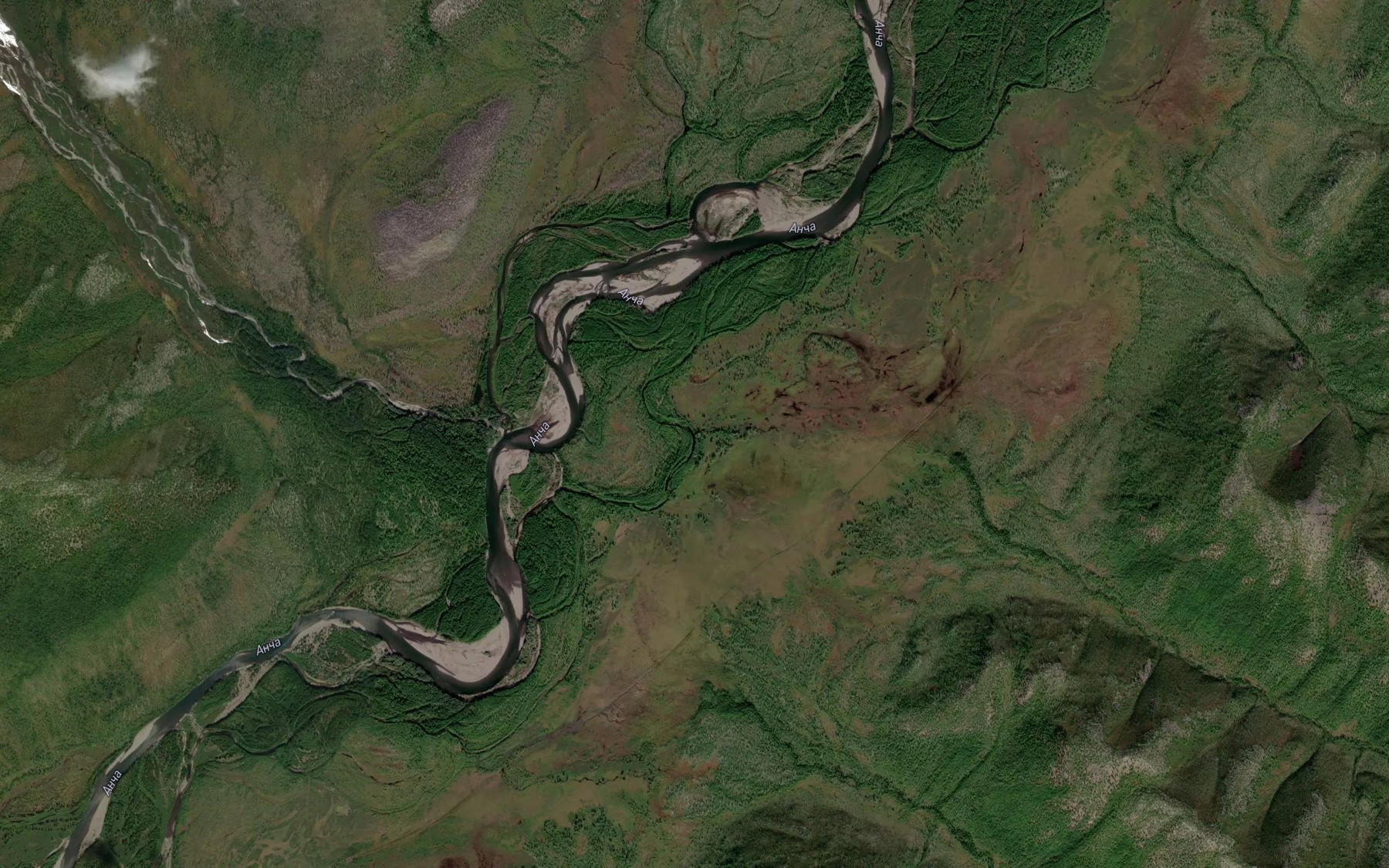 Satellite map of the Bolotnyy