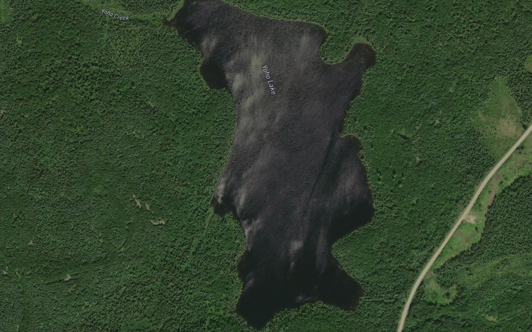 Satellite map of the Yoho Lake