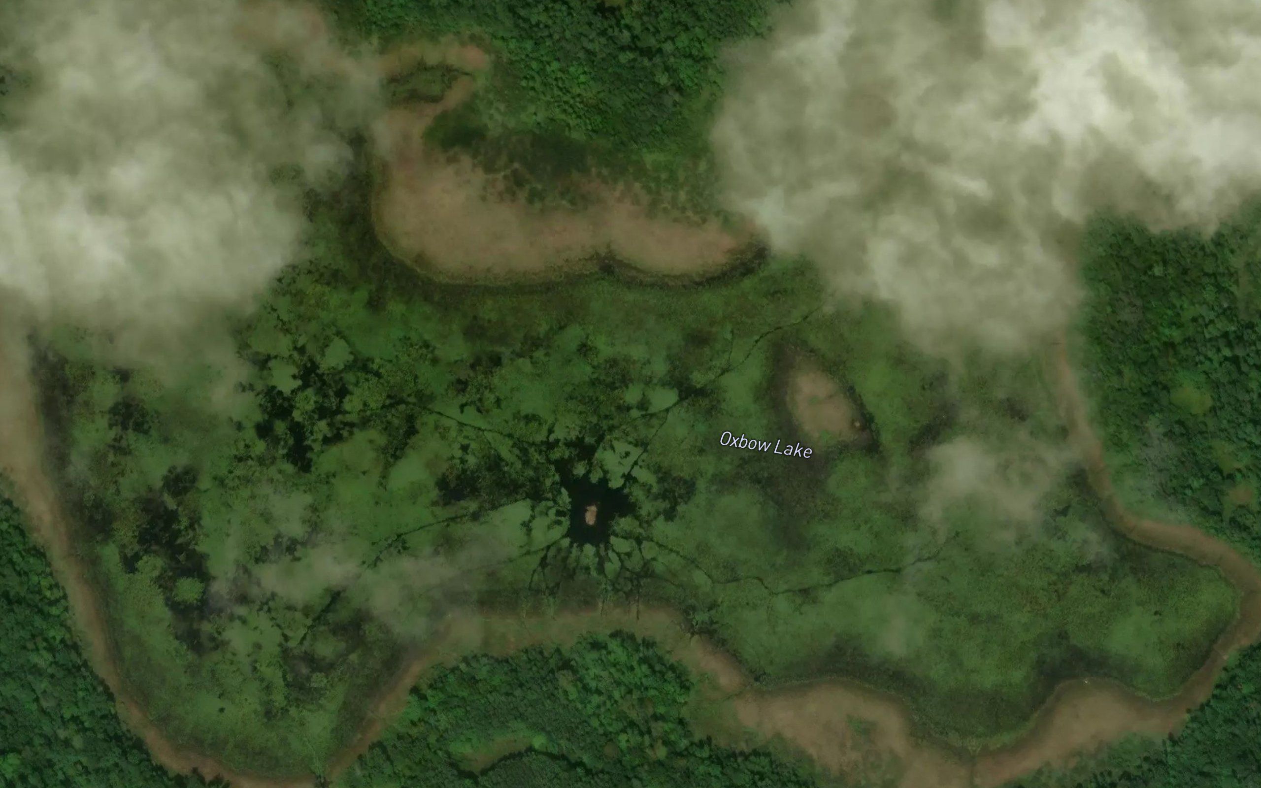 Oxbow Lake