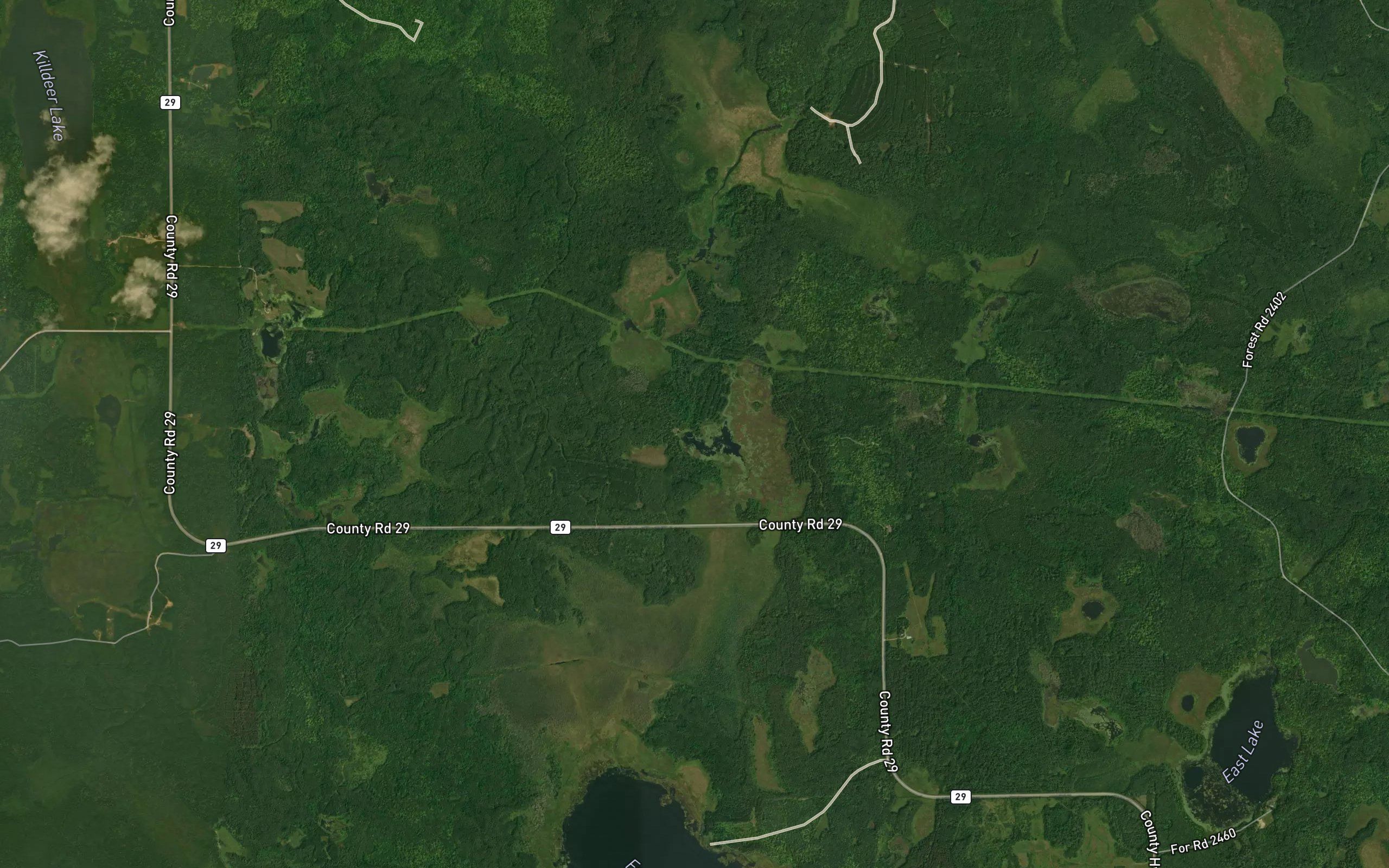 Beaver Lodge Impoundment