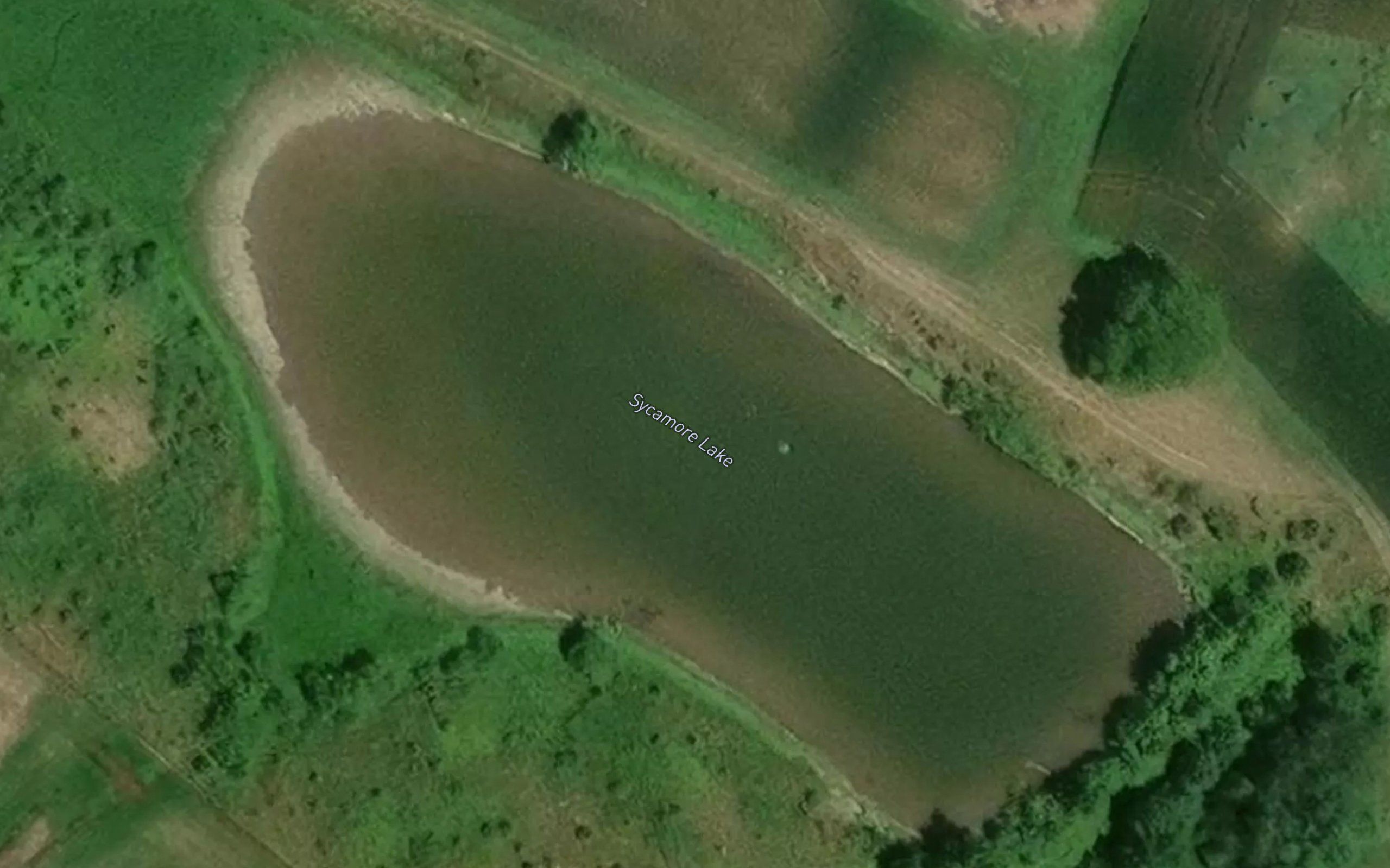 Sycamore Lake
