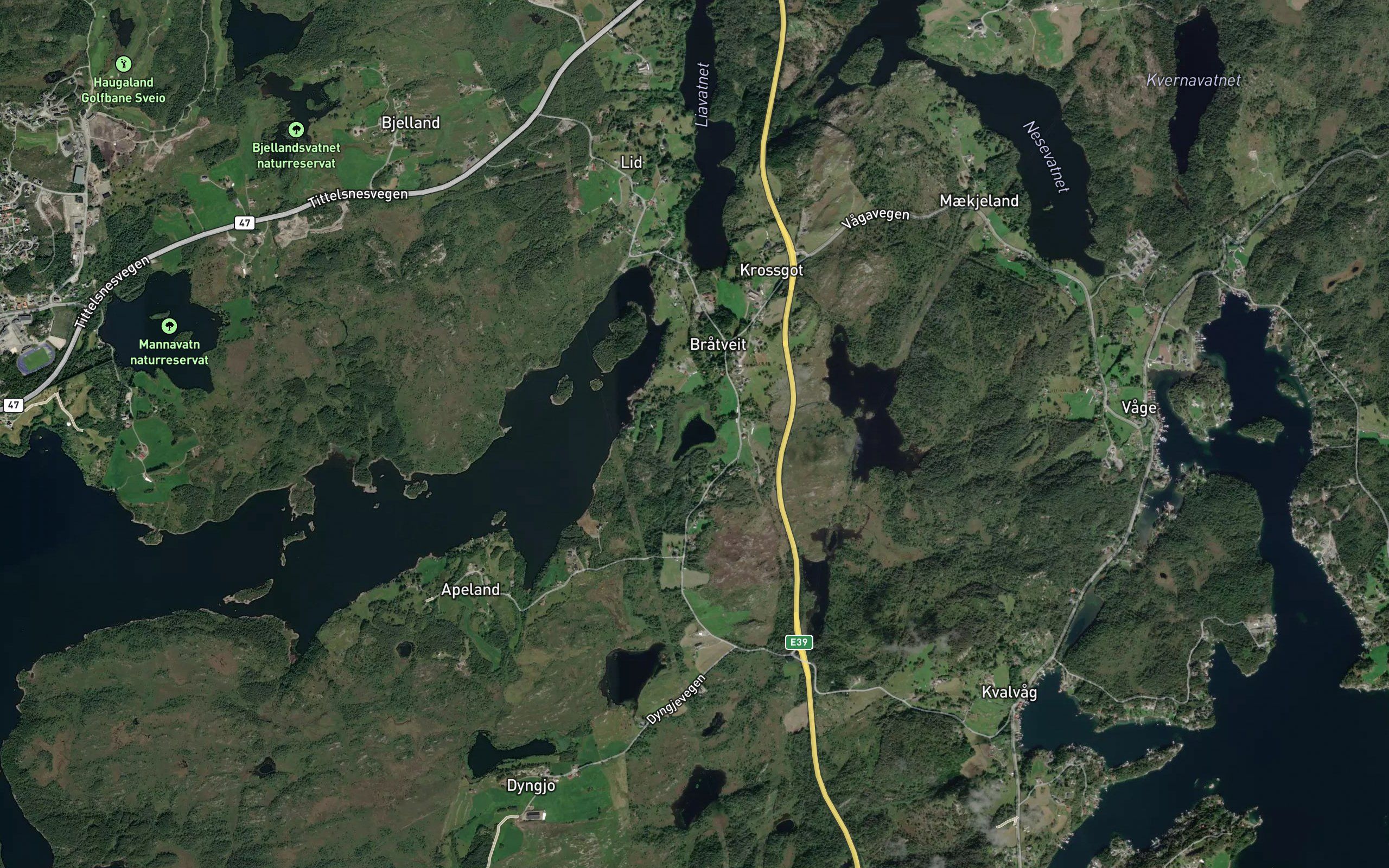 Bratveitjorna