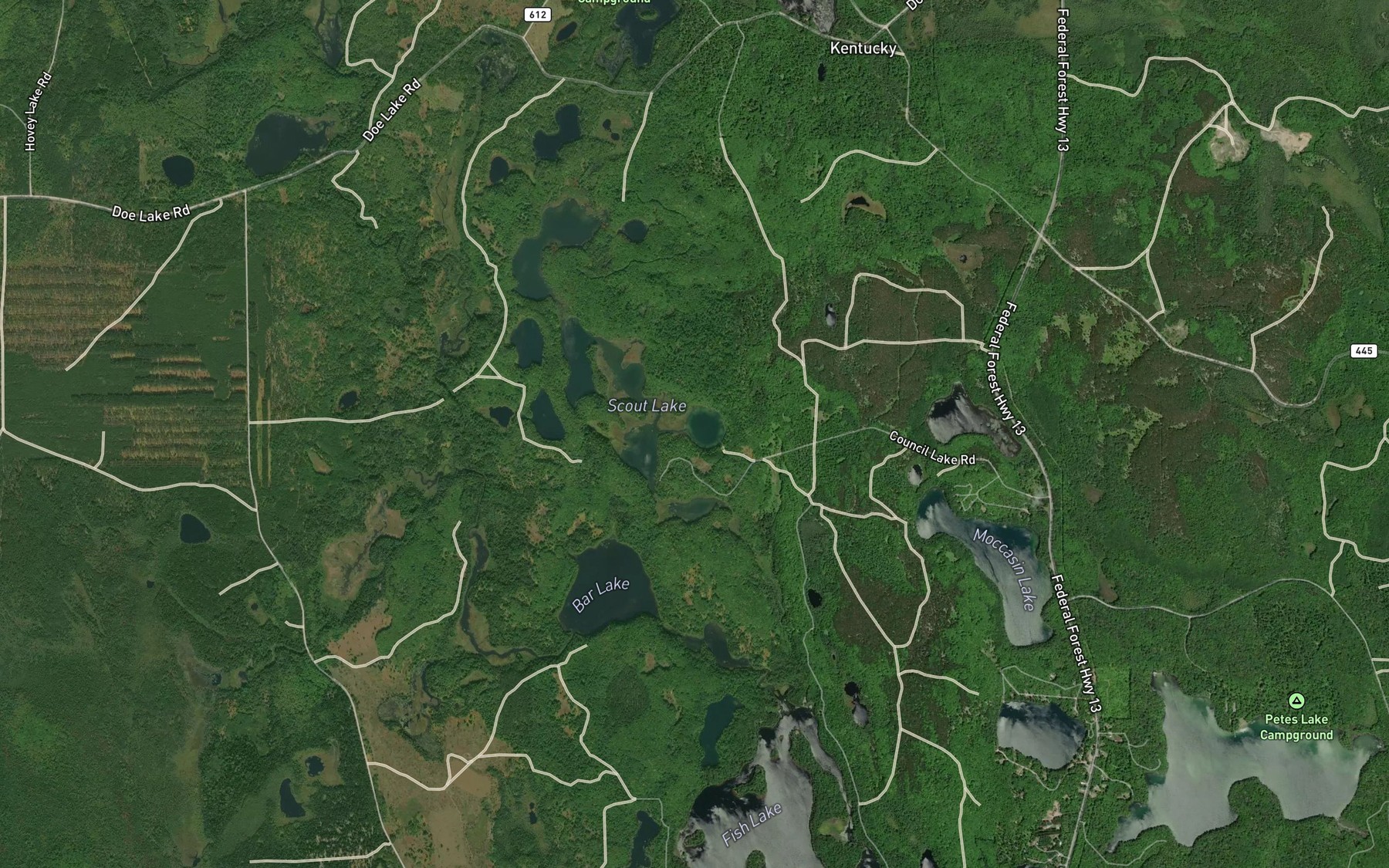 Satellite map of the Red Jack Lake