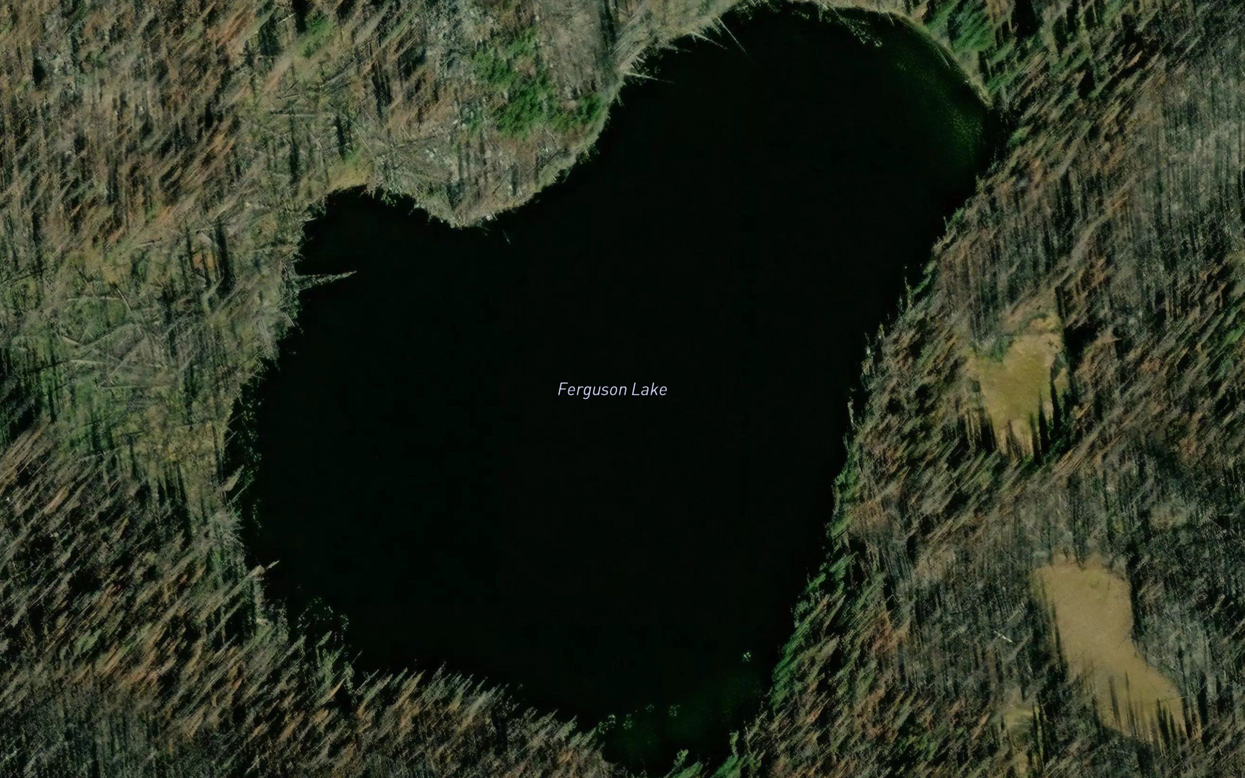 Ferguson Lake
