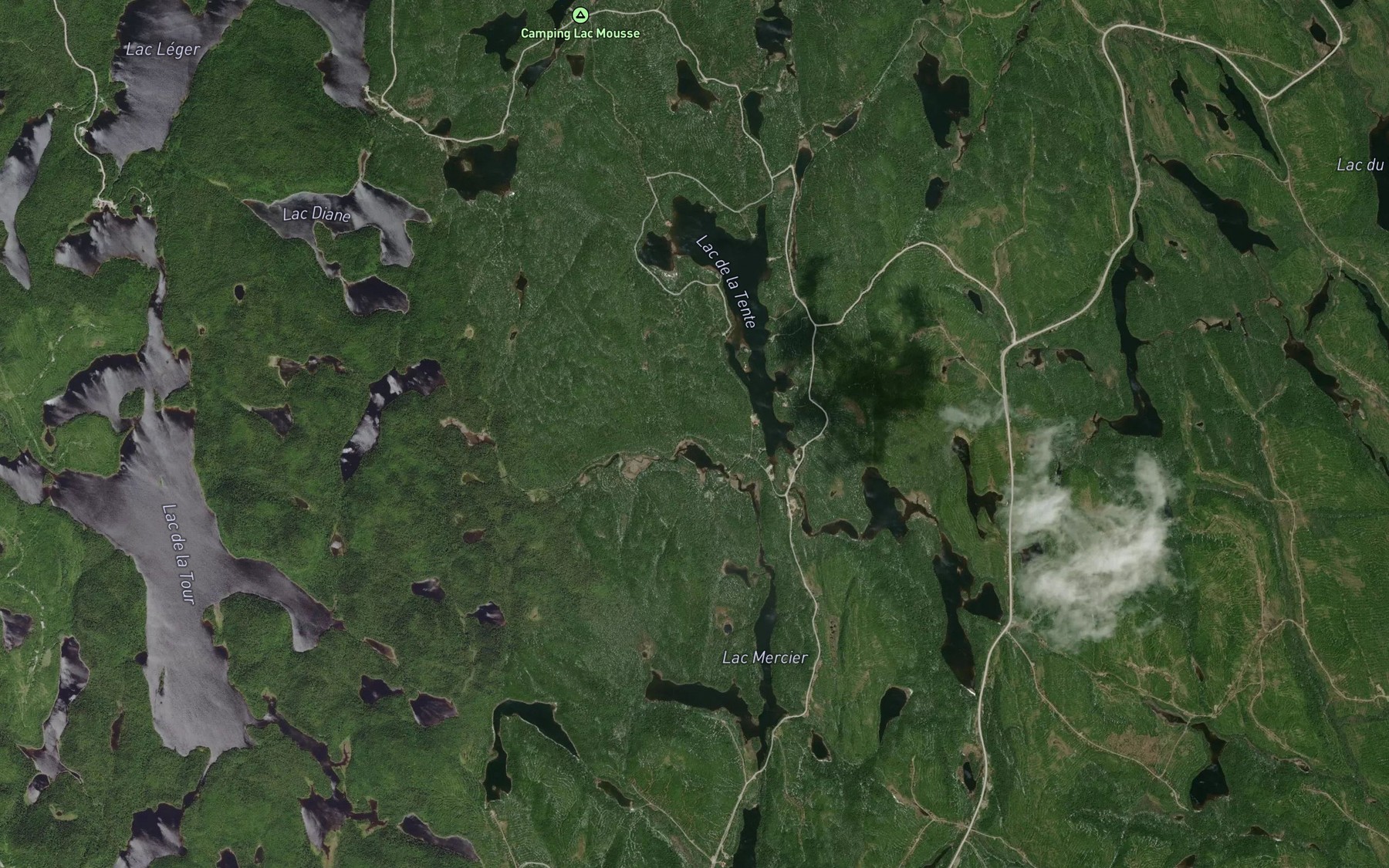 Satellite map of the Lac du Piquet
