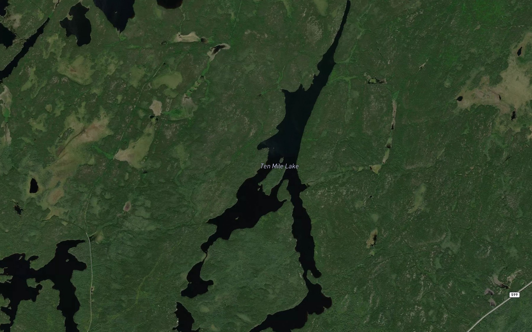 Satellite map of the Ten Mile Lake