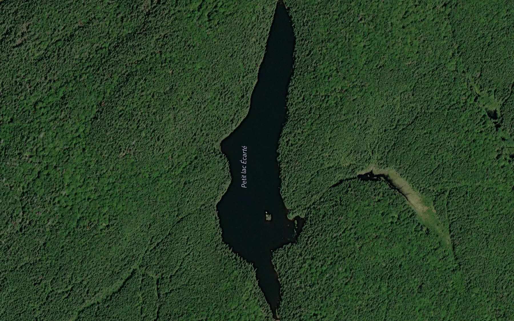 Satellite map of the Petit lac Ecarte