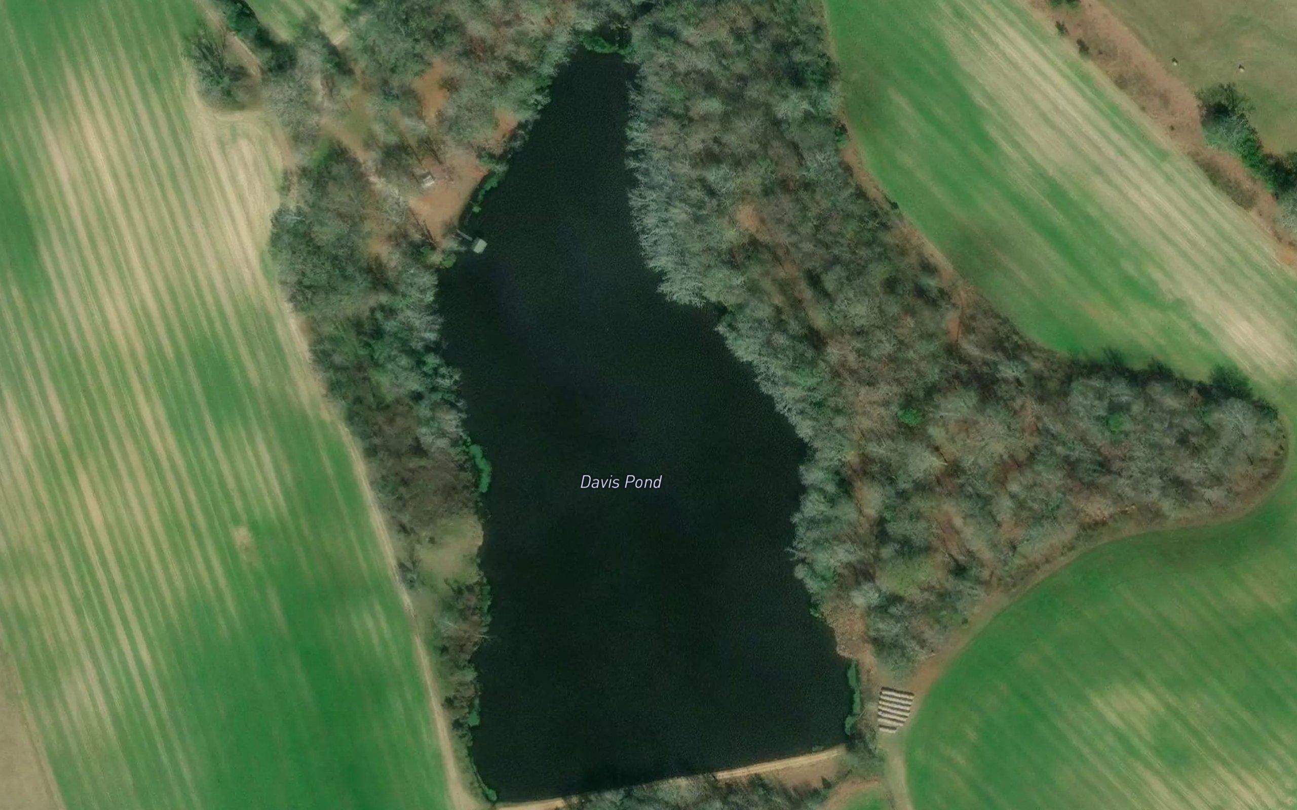 Davis Pond