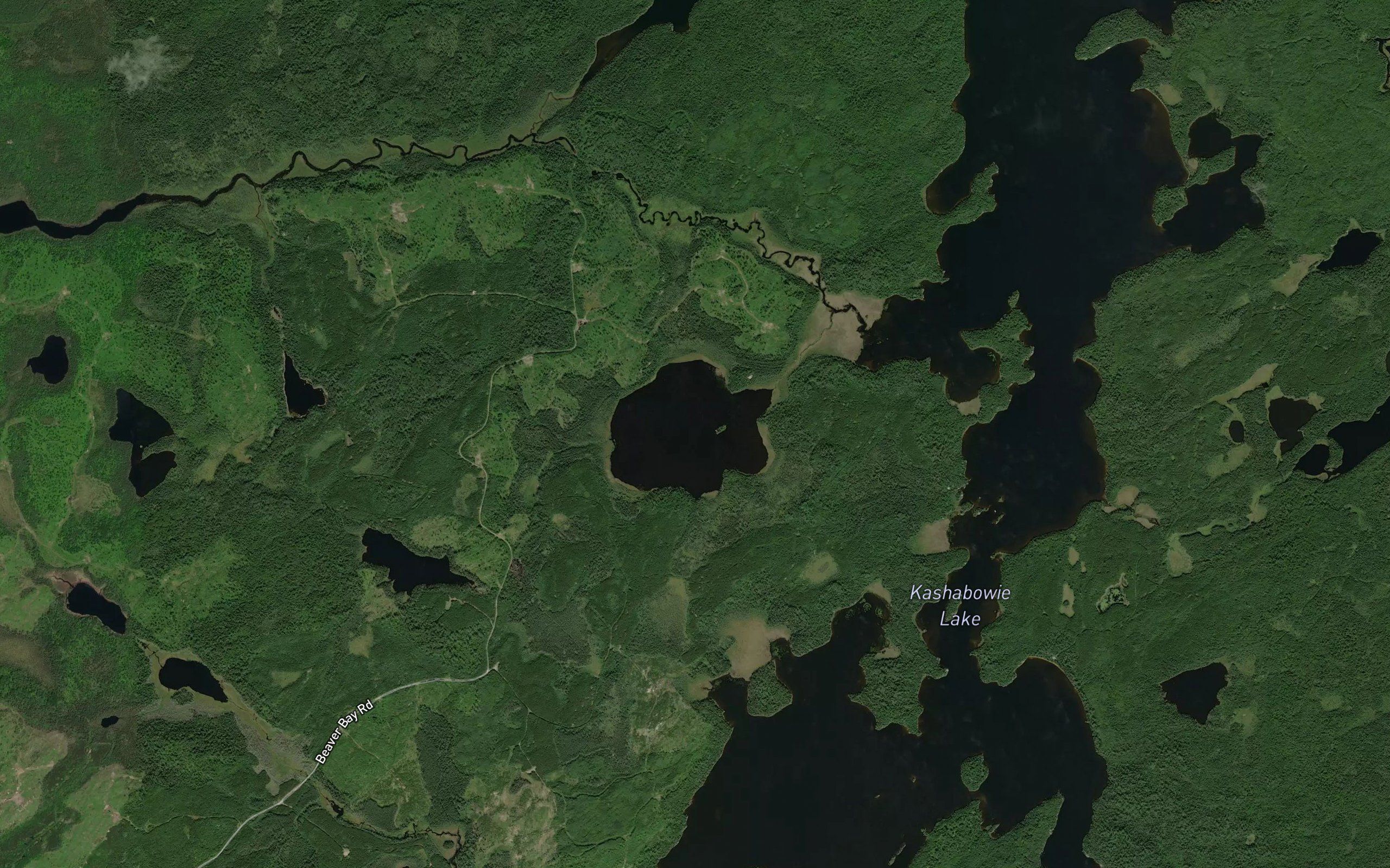 Davison Lake