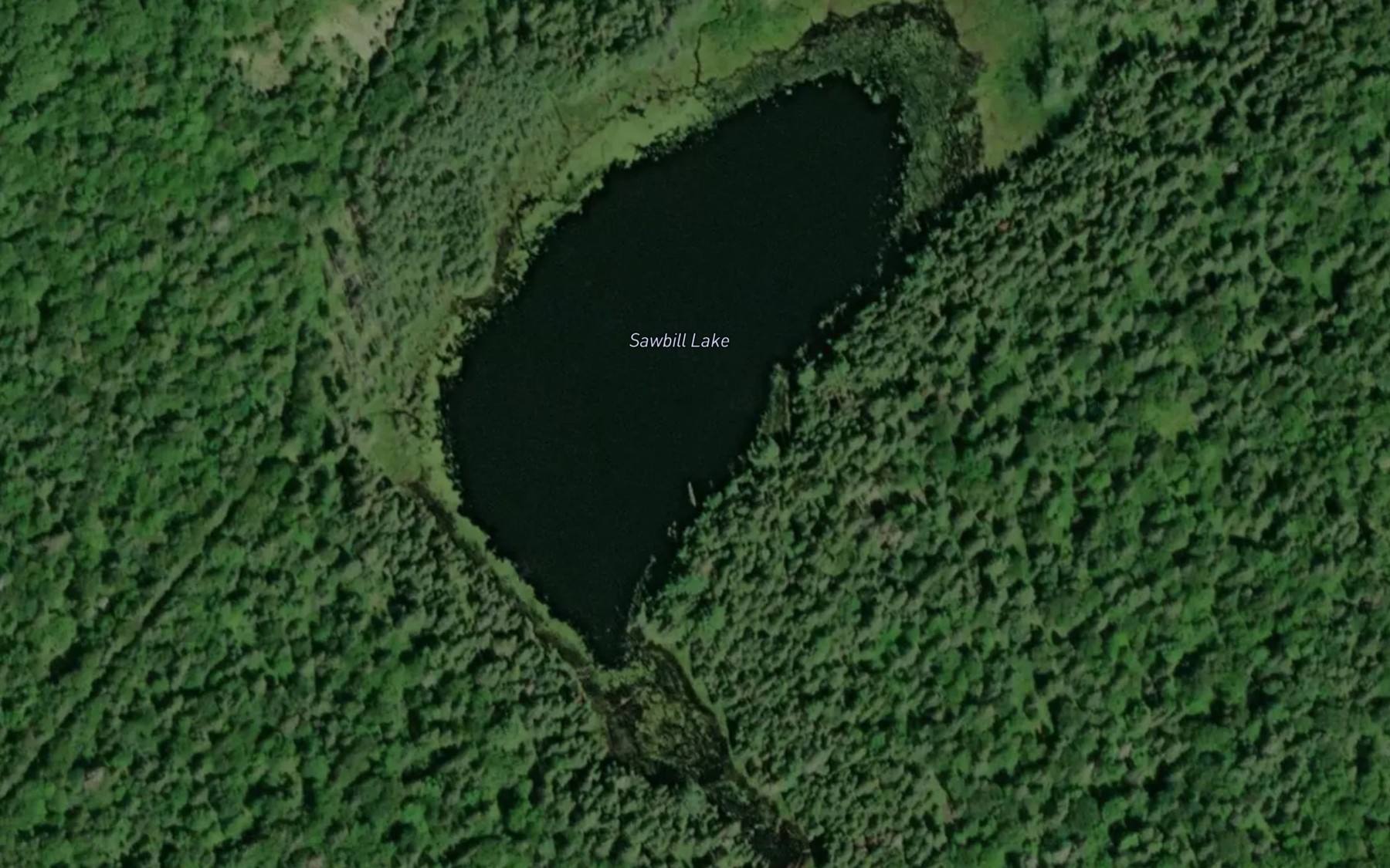 Satellite map of the Sawbill Lake