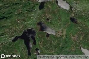 Skintjorni