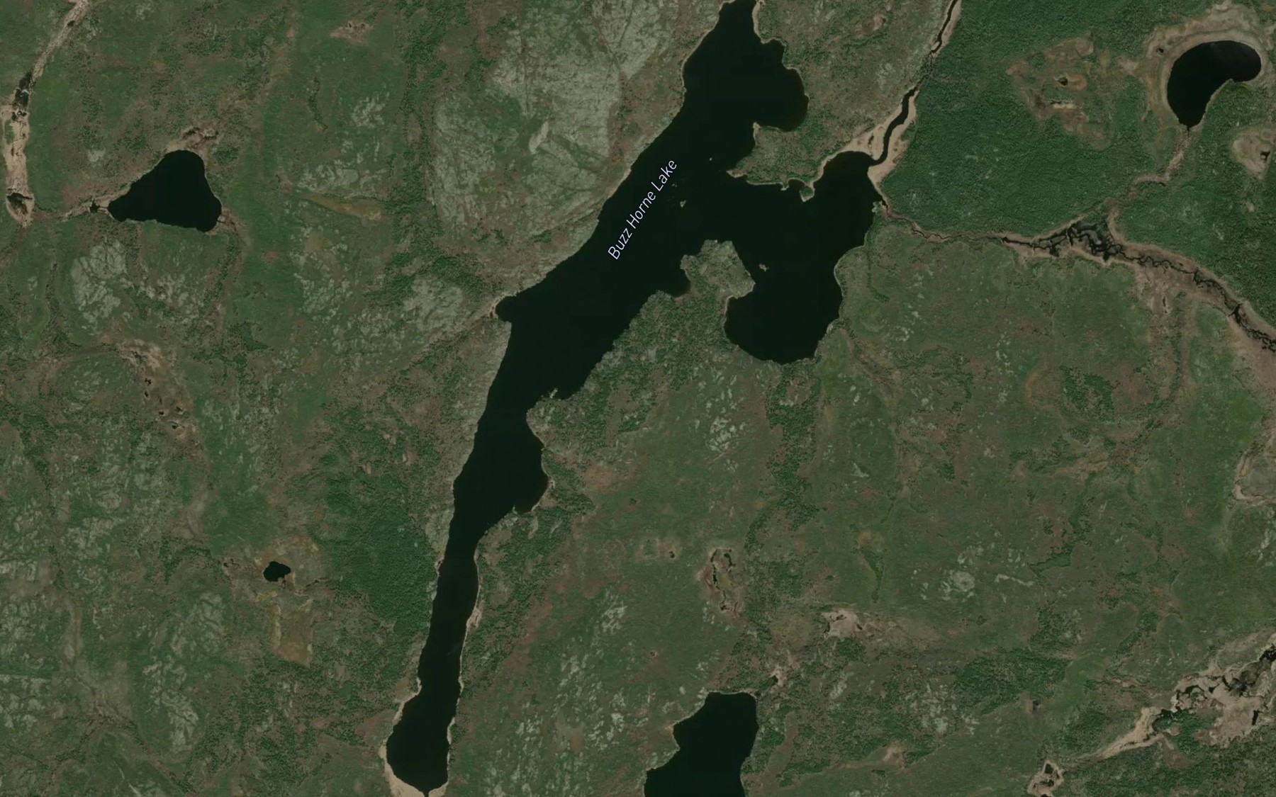 Satellite map of the Buzz Horne Lake