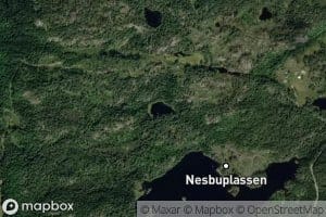 Duvreistjonn