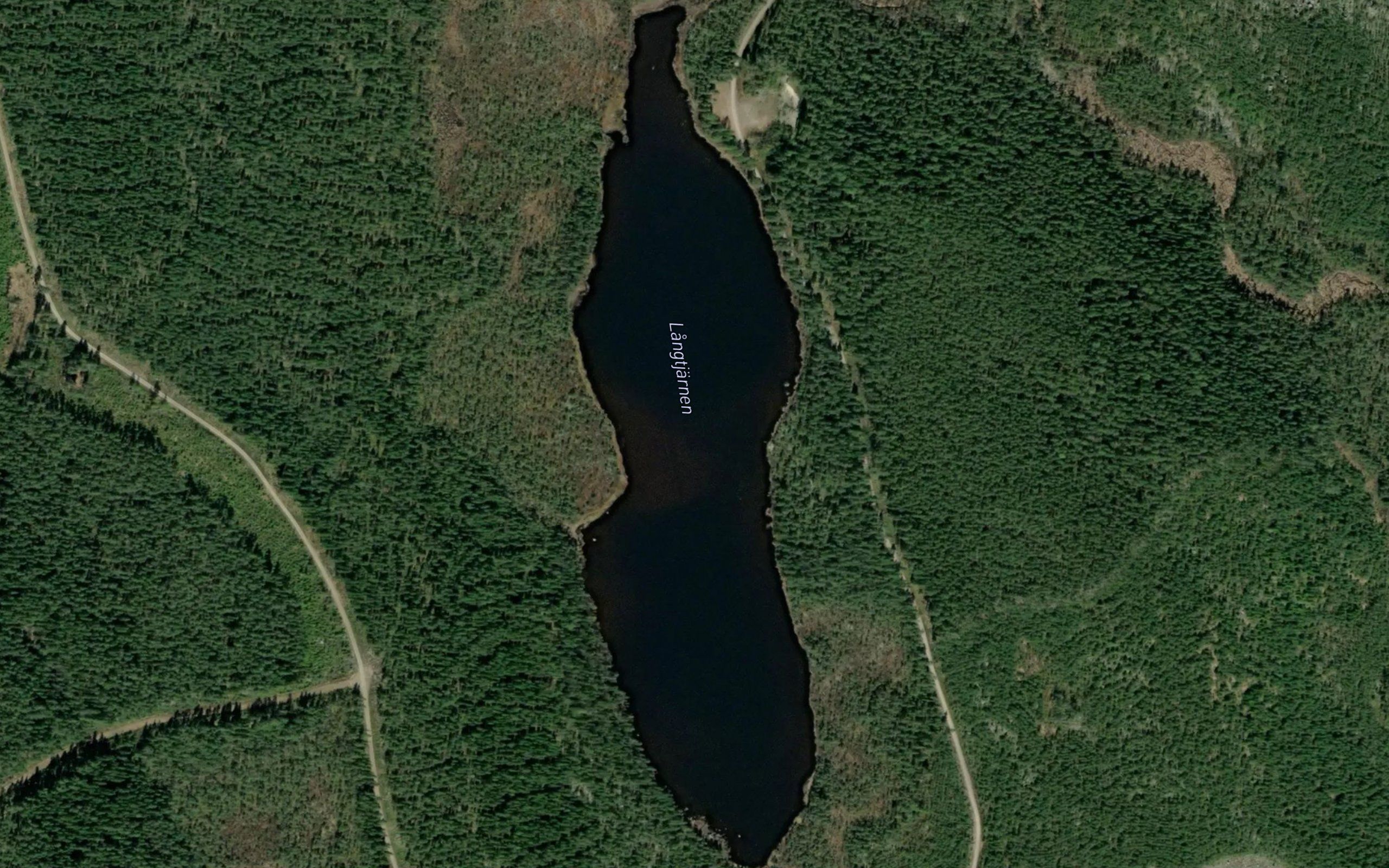 Langtjarn