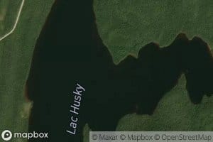 Lac Husky