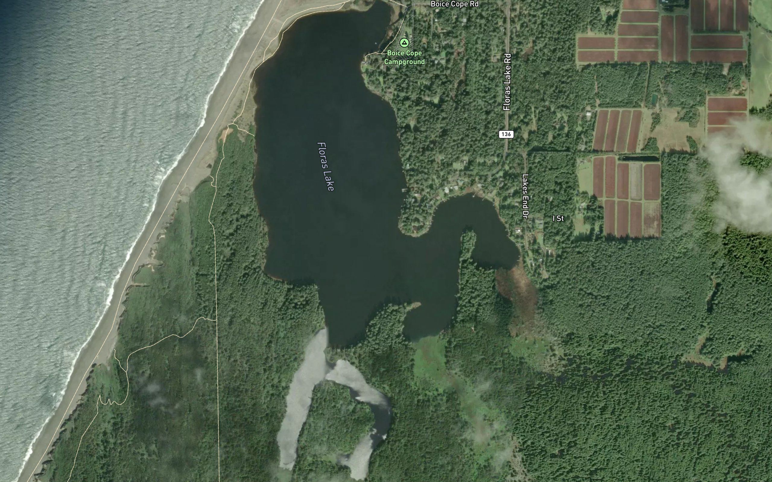 Floras Lake