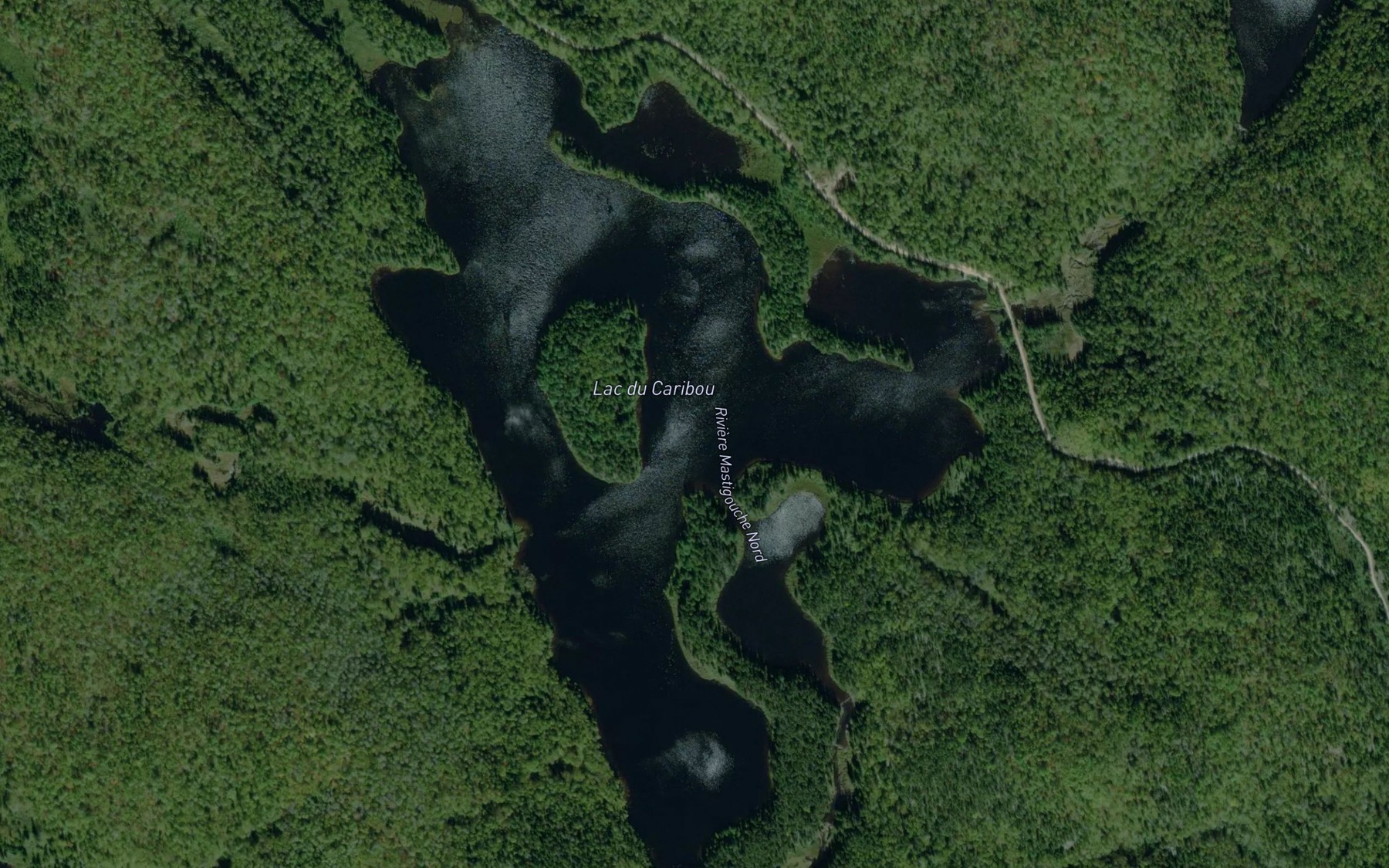 Satellite map of the Lac du Caribou