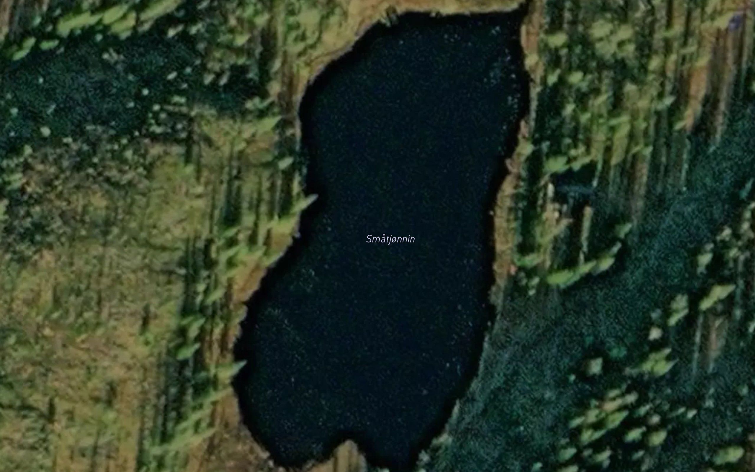 Smatjonnin