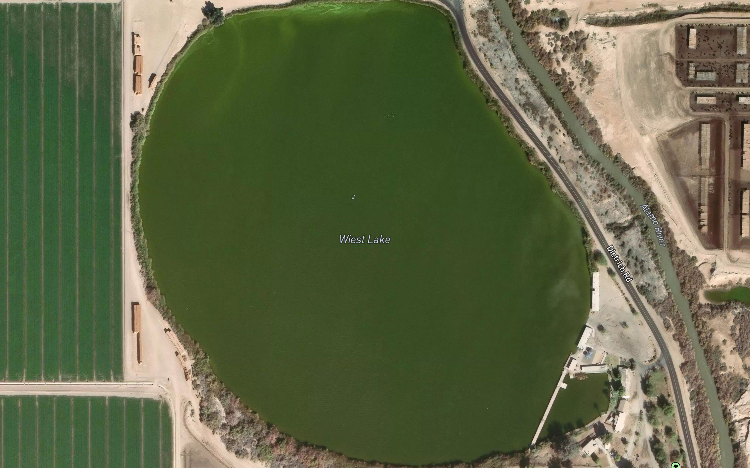 Wiest Lake