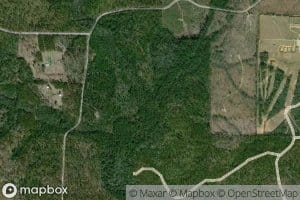 Line Branch