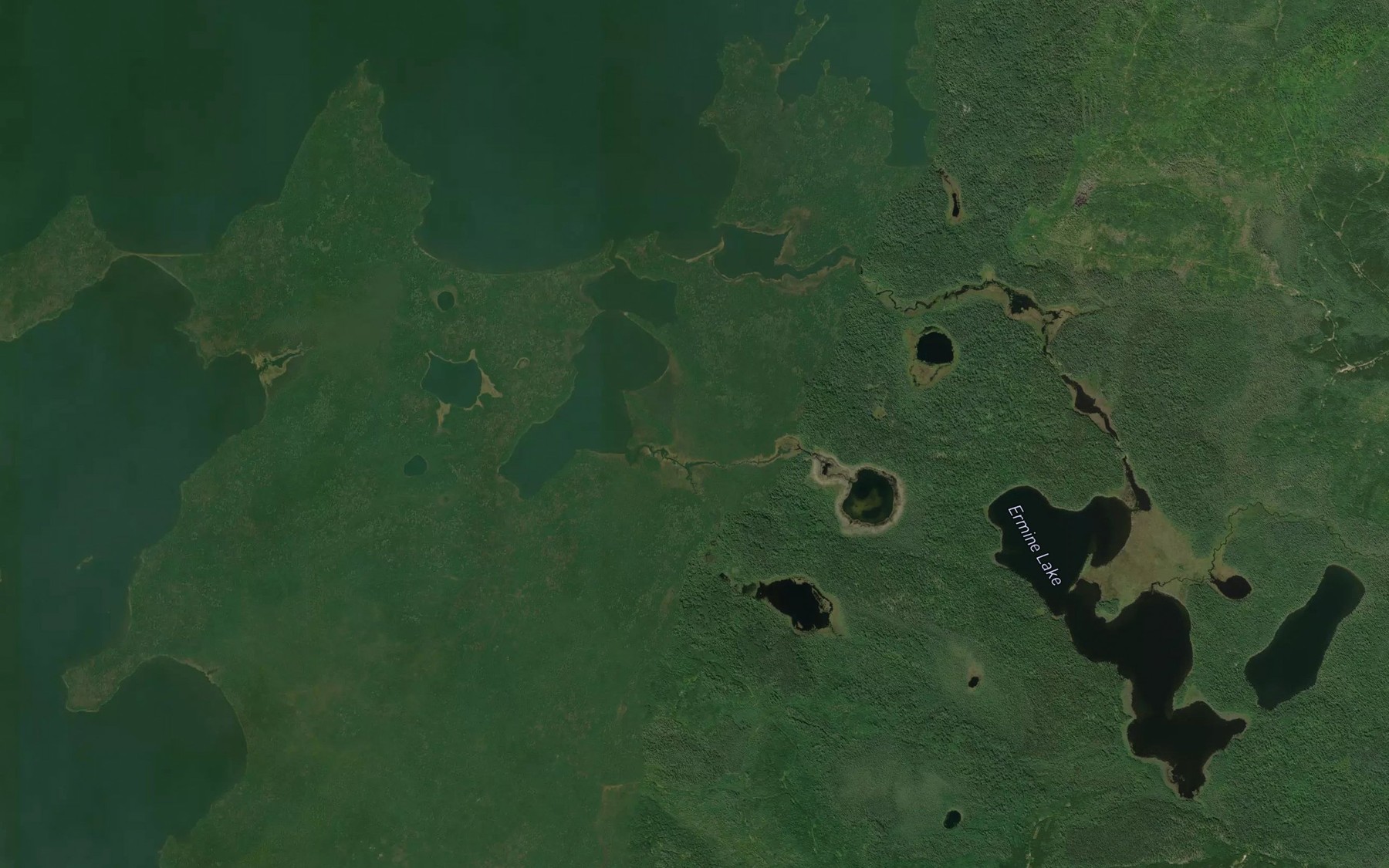 Satellite map of the Ermine Creek