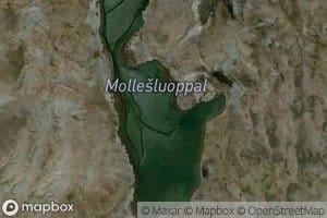 Mollesluoppal
