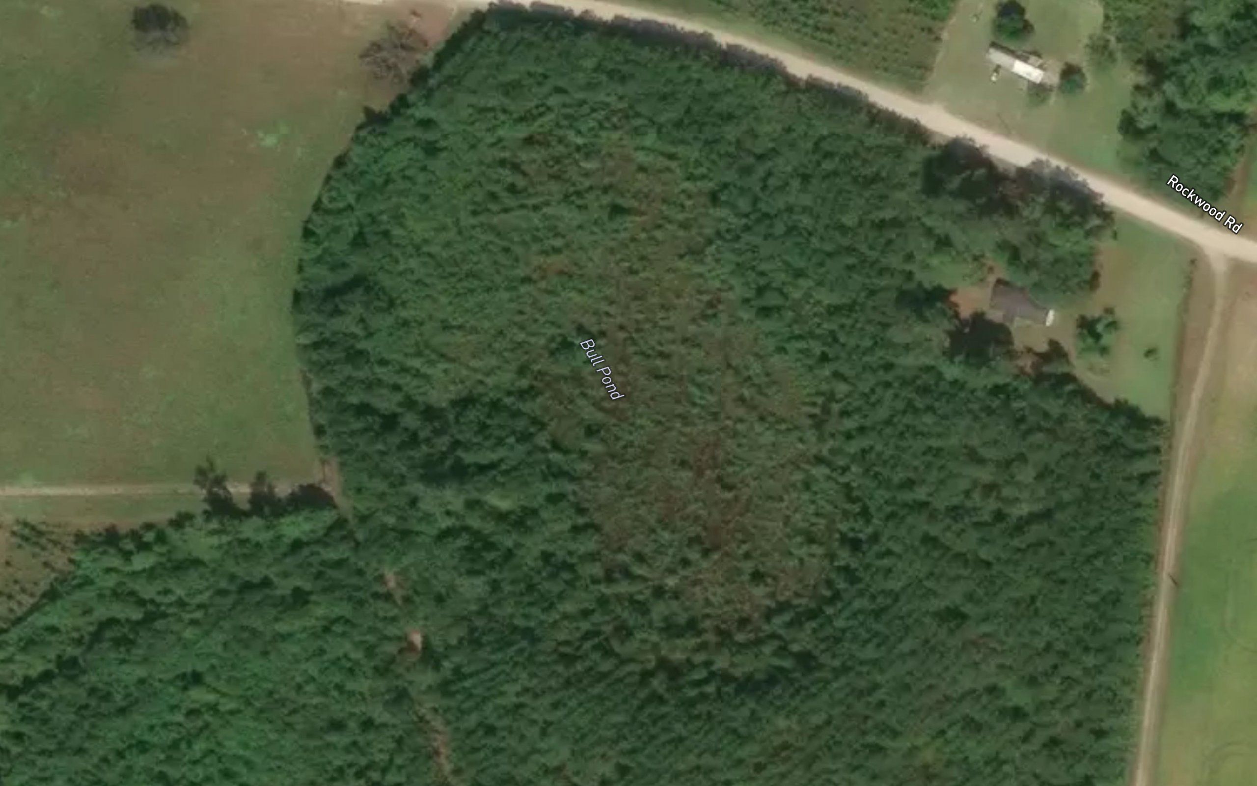 Bull Pond